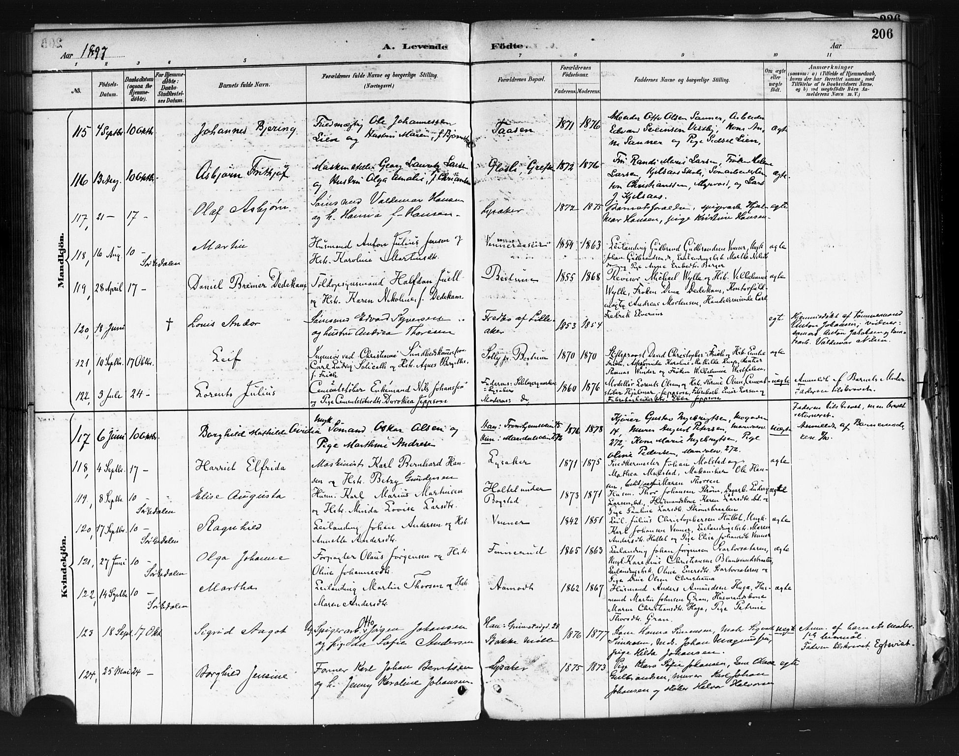 Vestre Aker prestekontor Kirkebøker, AV/SAO-A-10025/F/Fa/L0010: Parish register (official) no. 10, 1886-1903, p. 206