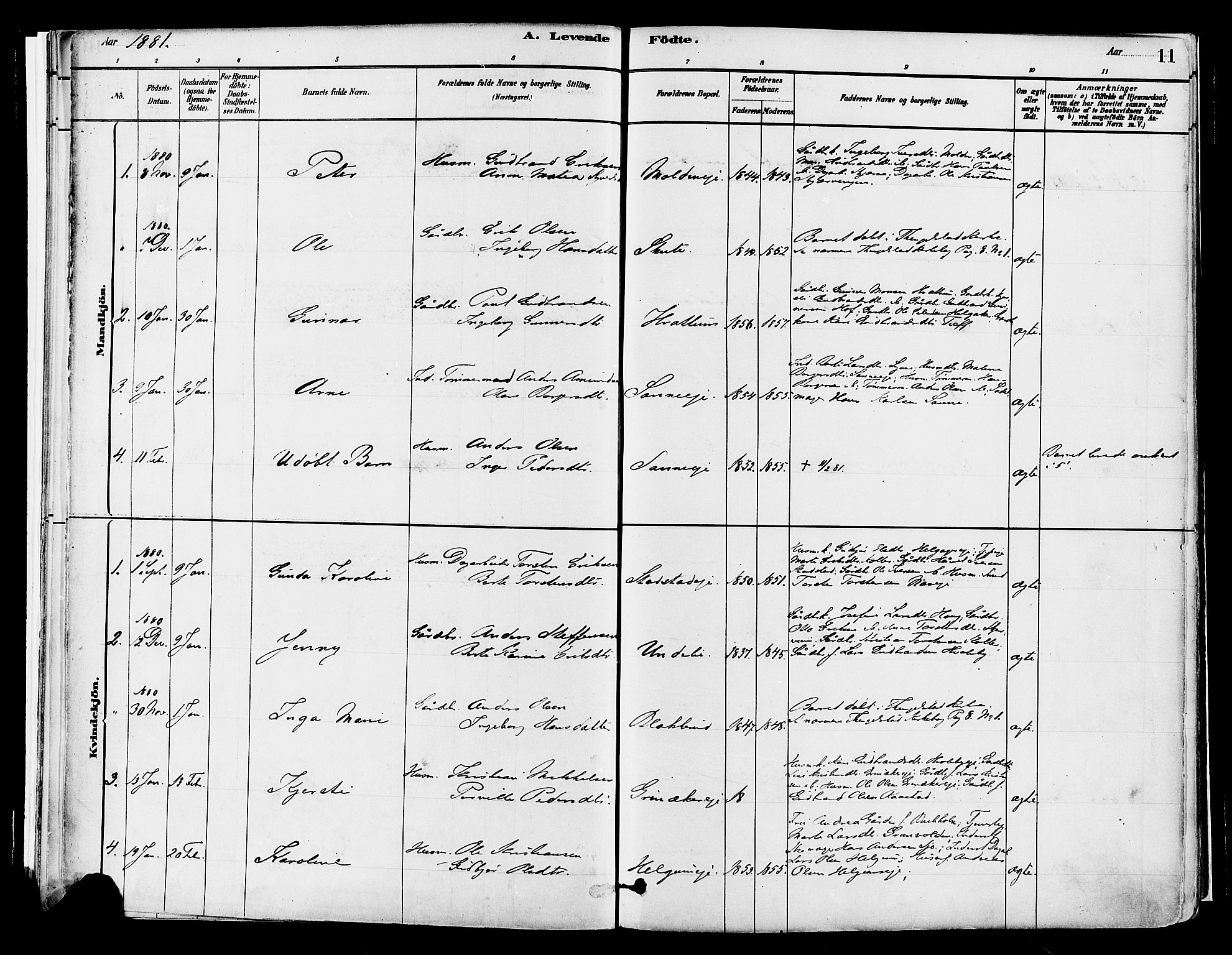 Gran prestekontor, SAH/PREST-112/H/Ha/Haa/L0014: Parish register (official) no. 14, 1880-1889, p. 11