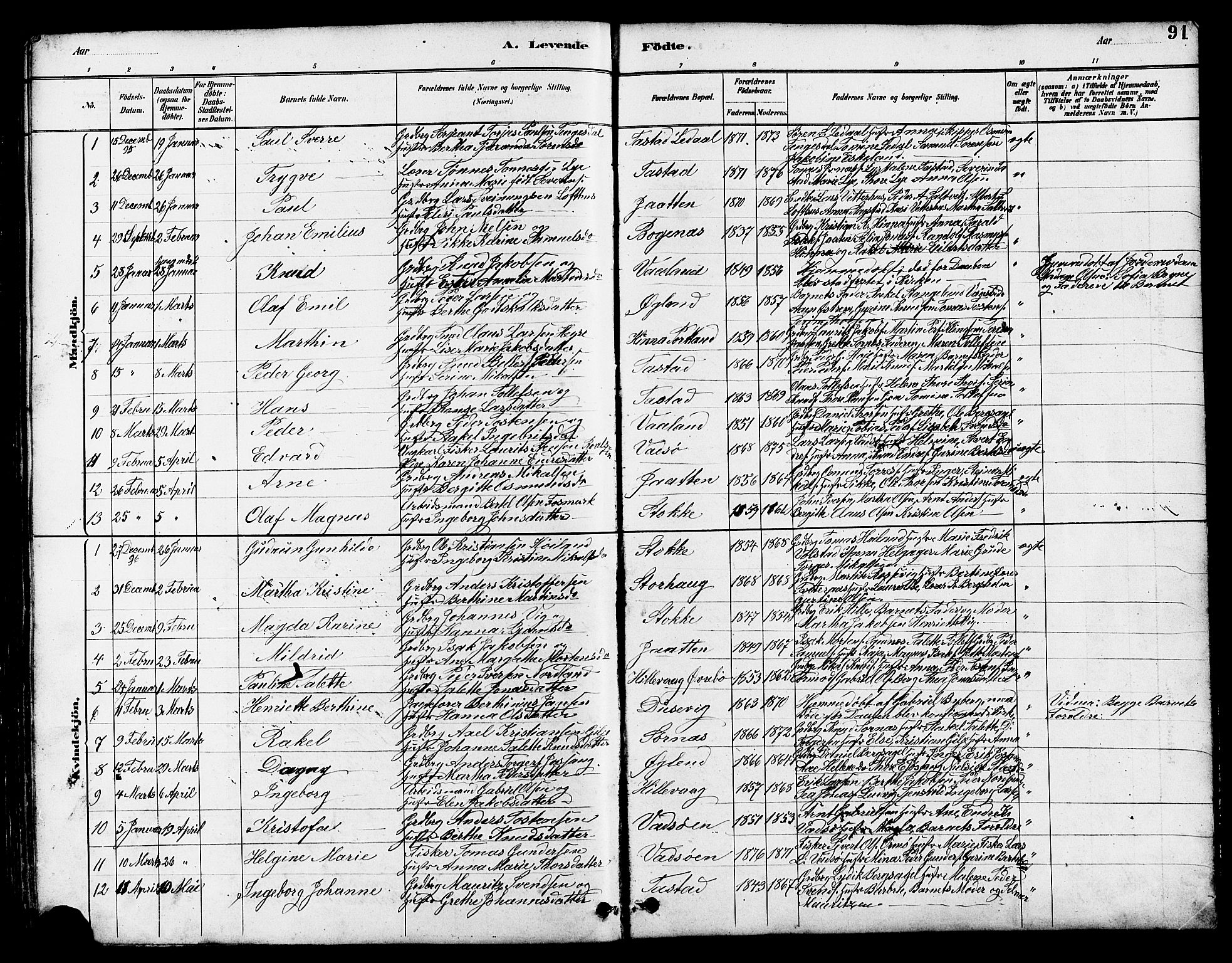 Hetland sokneprestkontor, SAST/A-101826/30/30BB/L0005: Parish register (copy) no. B 5, 1878-1910, p. 91