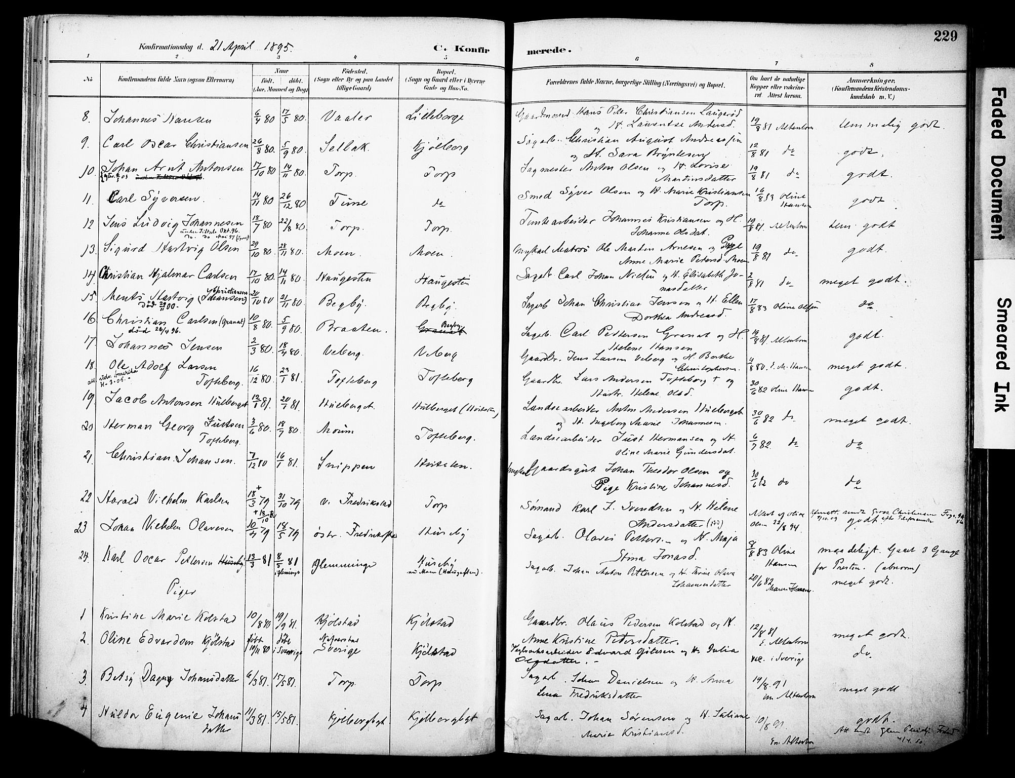 Borge prestekontor Kirkebøker, AV/SAO-A-10903/F/Fa/L0008: Parish register (official) no. I 8B, 1887-1902, p. 229