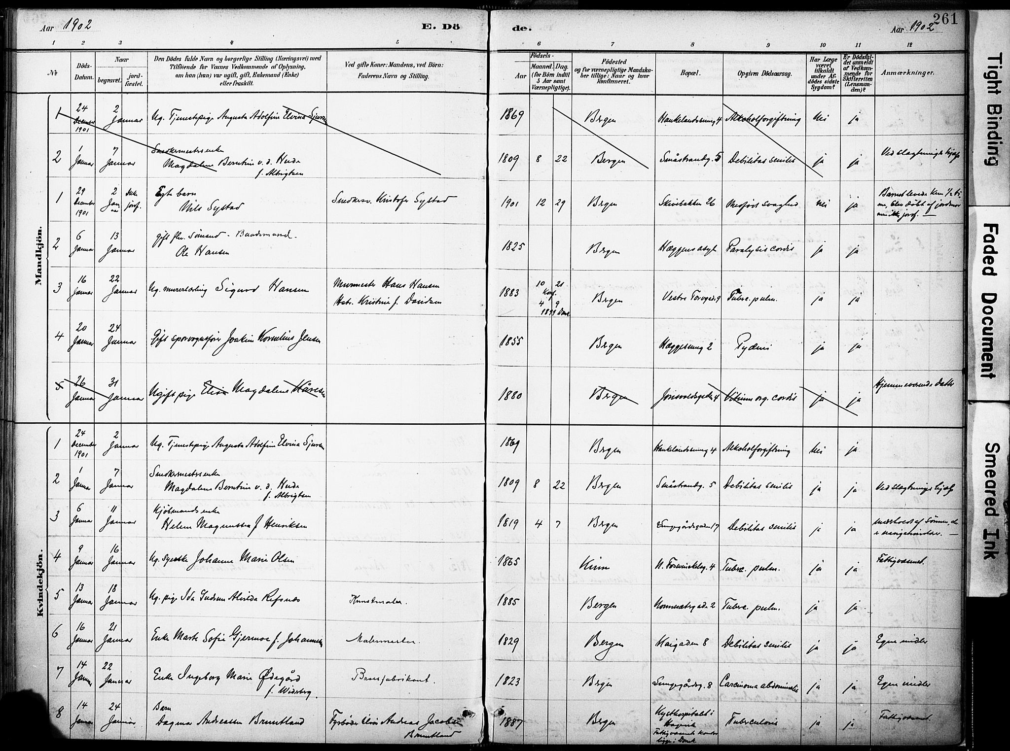 Domkirken sokneprestembete, SAB/A-74801/H/Haa/L0043: Parish register (official) no. E 5, 1882-1904, p. 261