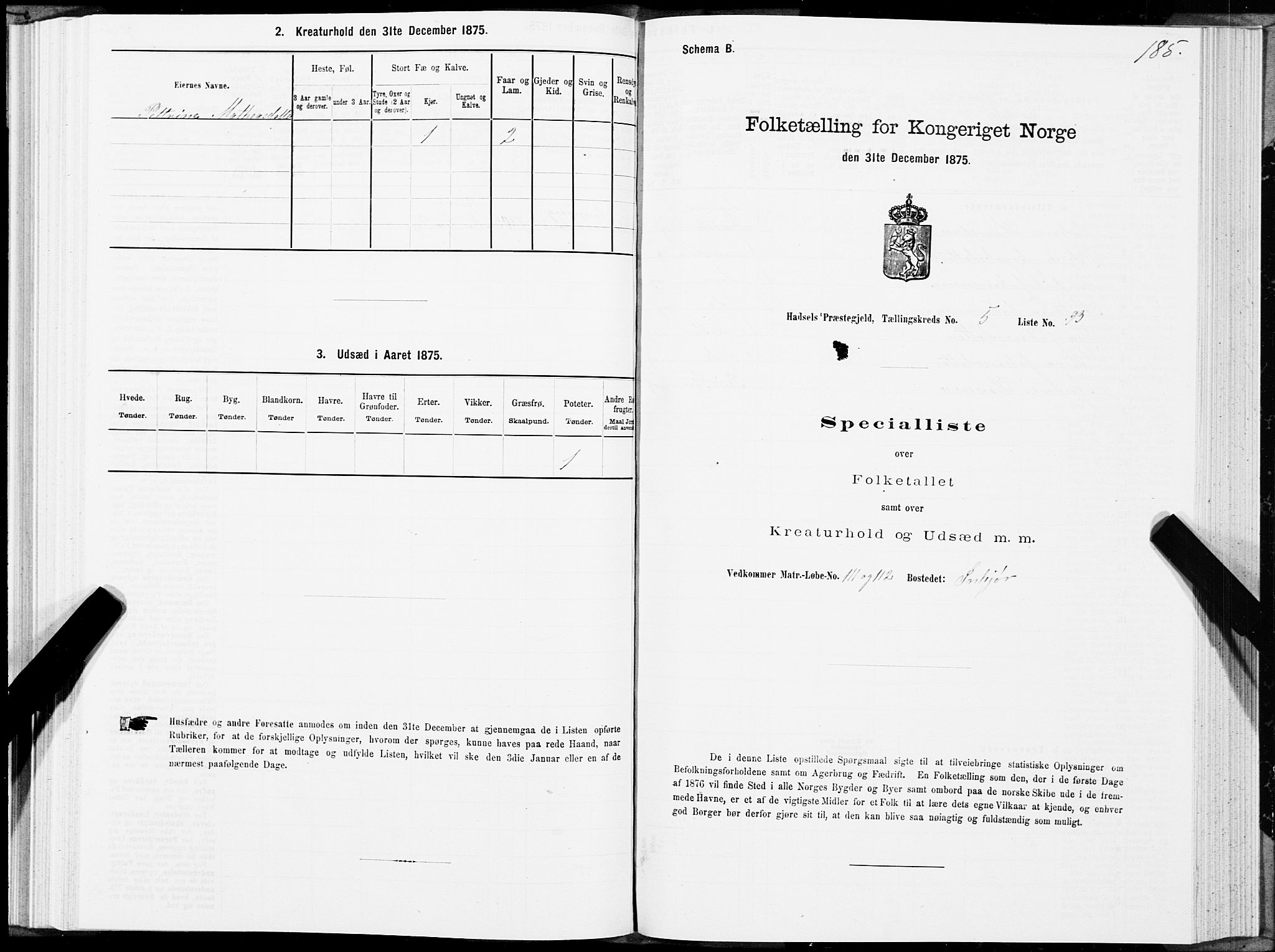 SAT, 1875 census for 1866P Hadsel, 1875, p. 3185