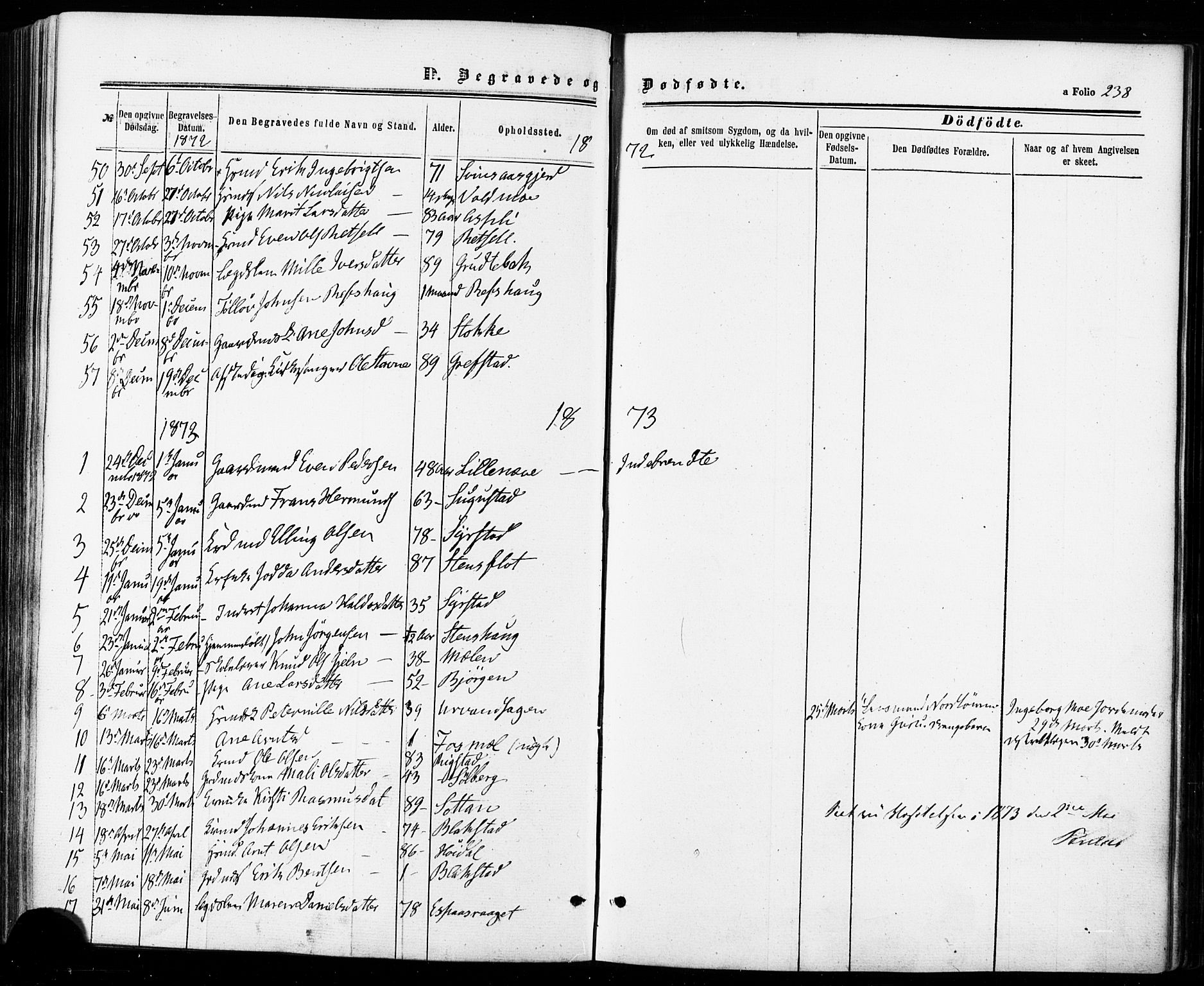 Ministerialprotokoller, klokkerbøker og fødselsregistre - Sør-Trøndelag, AV/SAT-A-1456/672/L0856: Parish register (official) no. 672A08, 1861-1881, p. 238