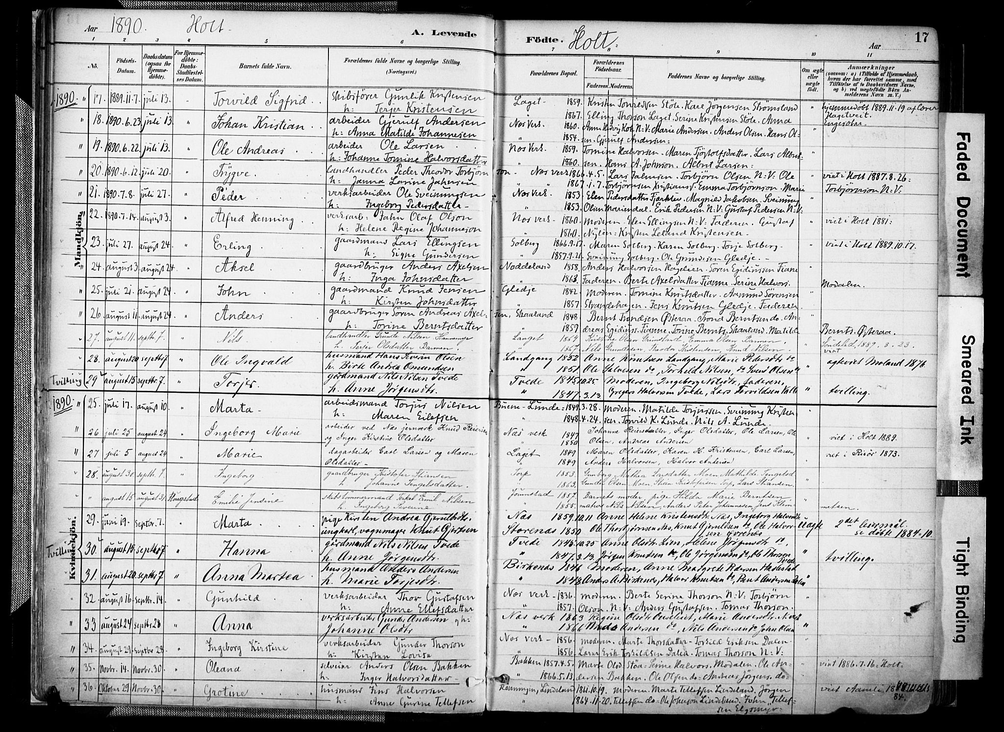 Holt sokneprestkontor, AV/SAK-1111-0021/F/Fa/L0012: Parish register (official) no. A 12, 1885-1907, p. 17