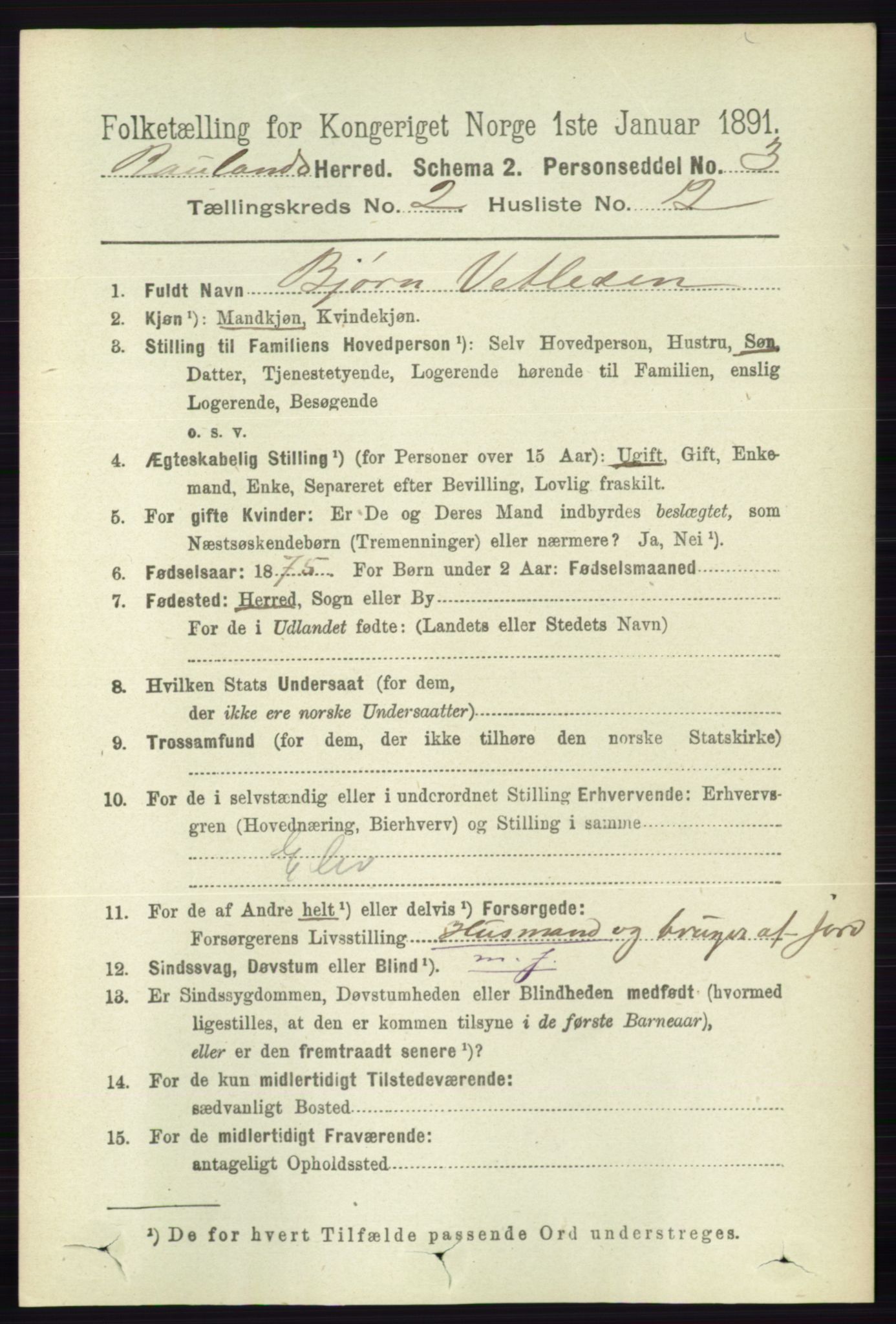 RA, 1891 census for 0835 Rauland, 1891, p. 321