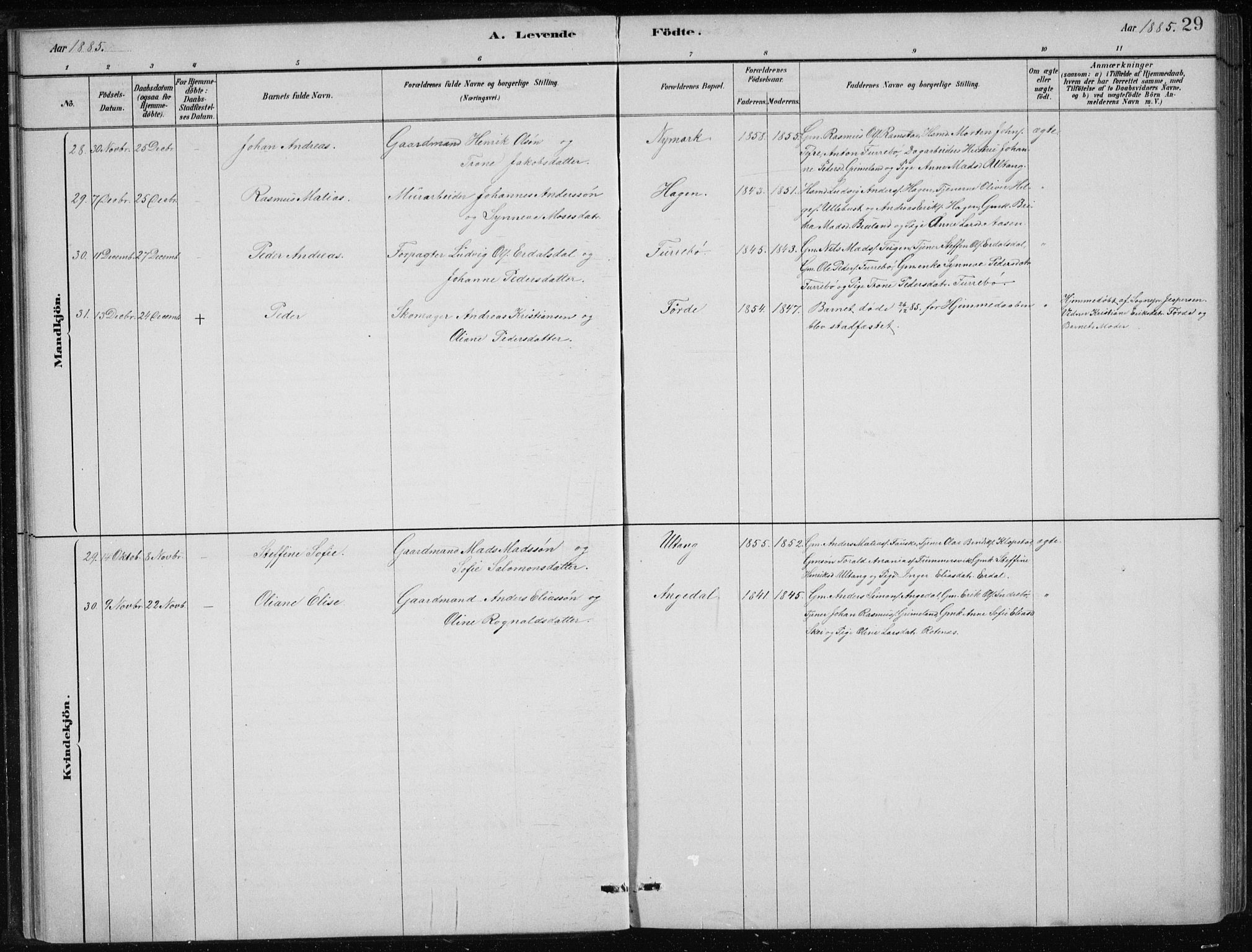 Førde sokneprestembete, SAB/A-79901/H/Hab/Haba/L0002: Parish register (copy) no. A 2, 1881-1898, p. 29