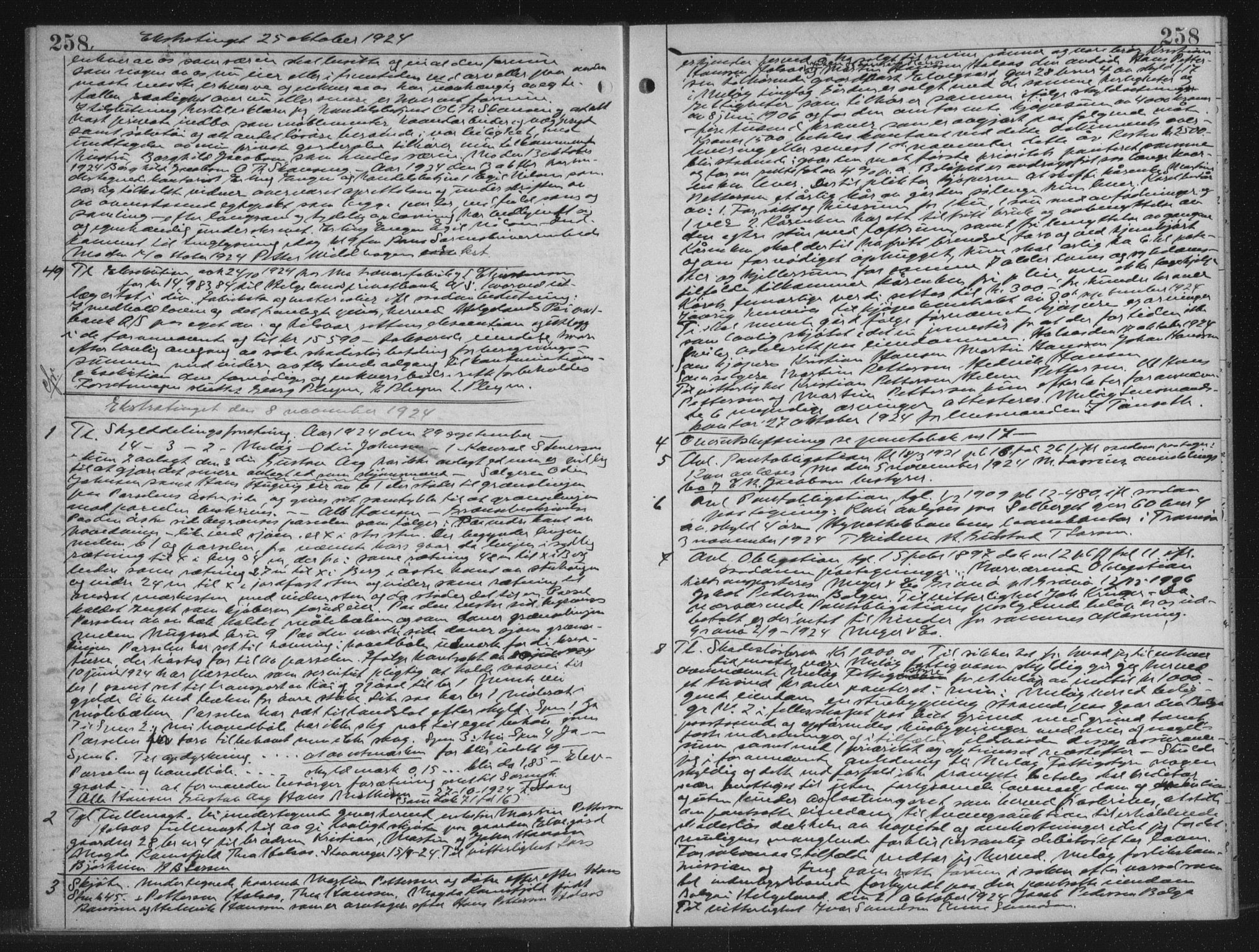 Rana sorenskriveri , AV/SAT-A-1108/1/2/2C/L0018: Mortgage book no. 18, 1923-1928, p. 258, Deed date: 08.11.1924