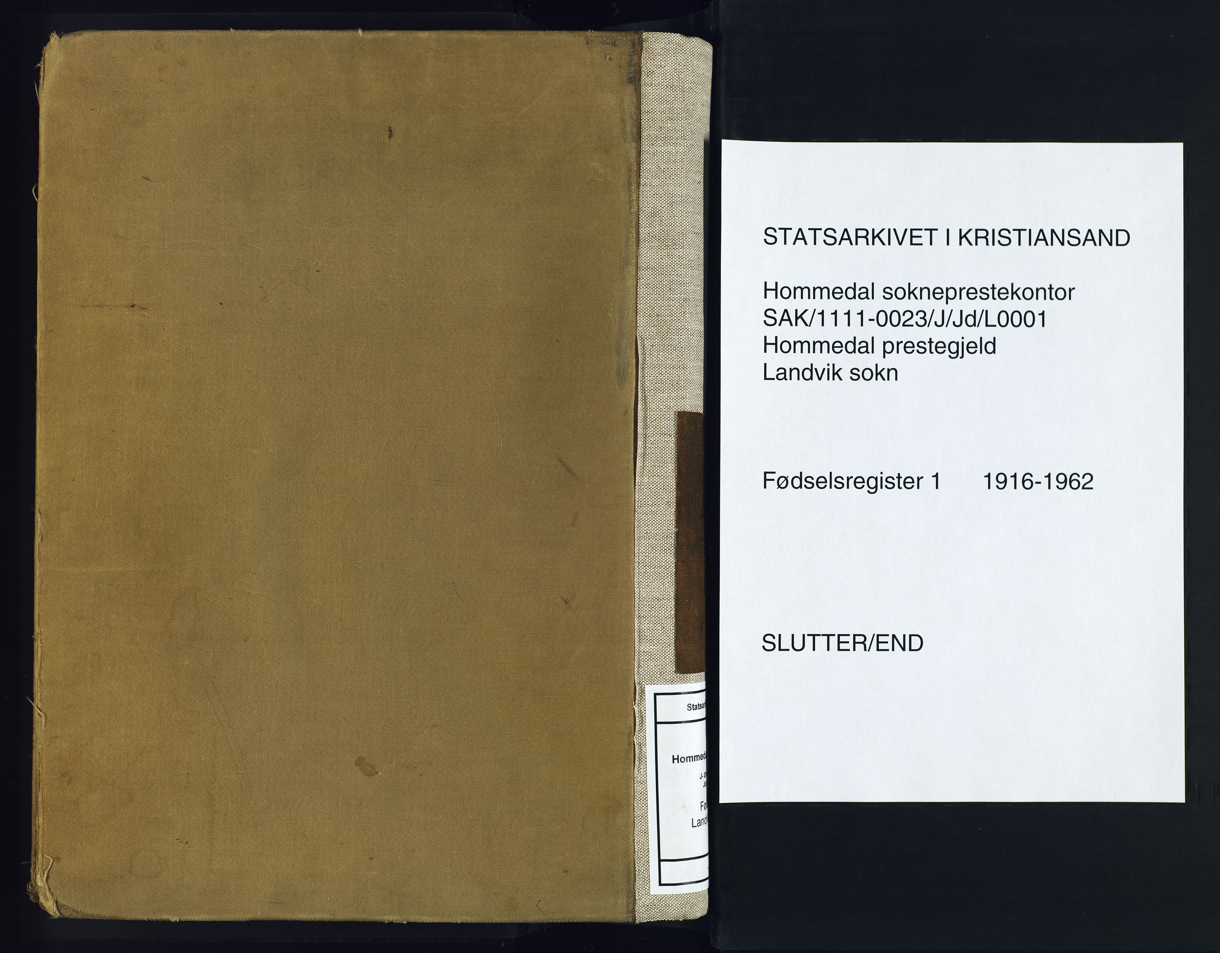 Hommedal sokneprestkontor, AV/SAK-1111-0023/J/Jd/L0001: Birth register no. 1, 1916-1962