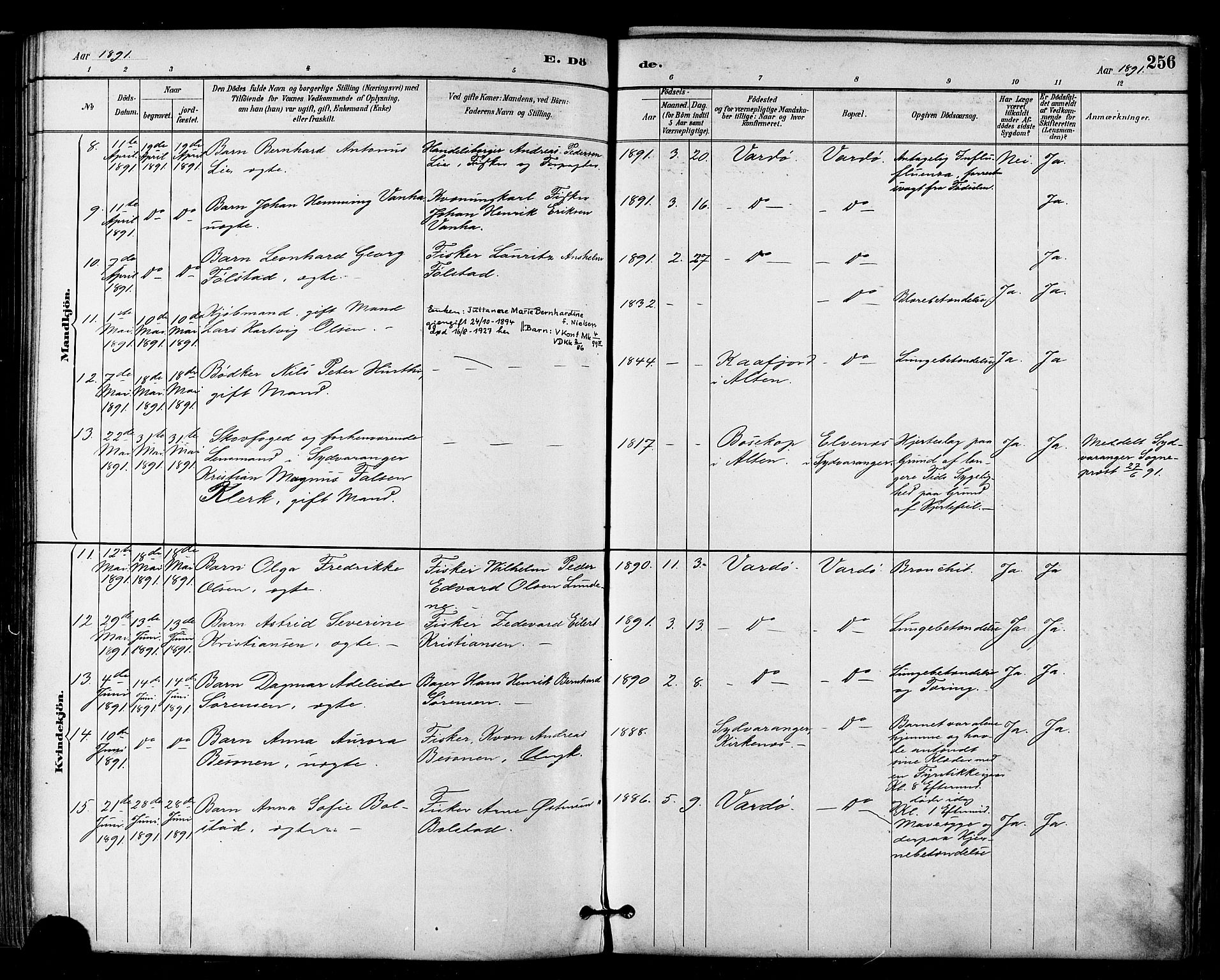 Vardø sokneprestkontor, SATØ/S-1332/H/Ha/L0007kirke: Parish register (official) no. 7, 1886-1897, p. 256
