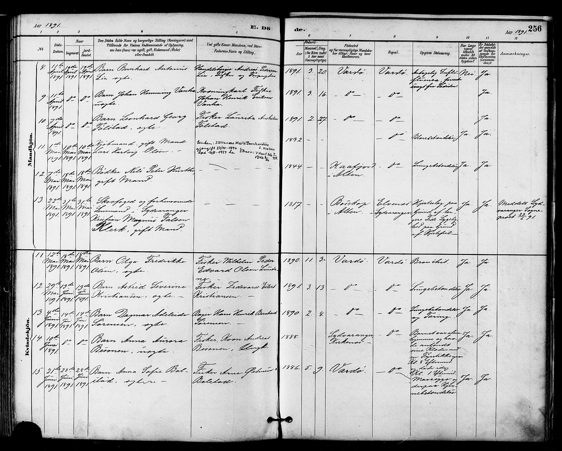 Vardø sokneprestkontor, AV/SATØ-S-1332/H/Ha/L0007kirke: Parish register (official) no. 7, 1886-1897, p. 256