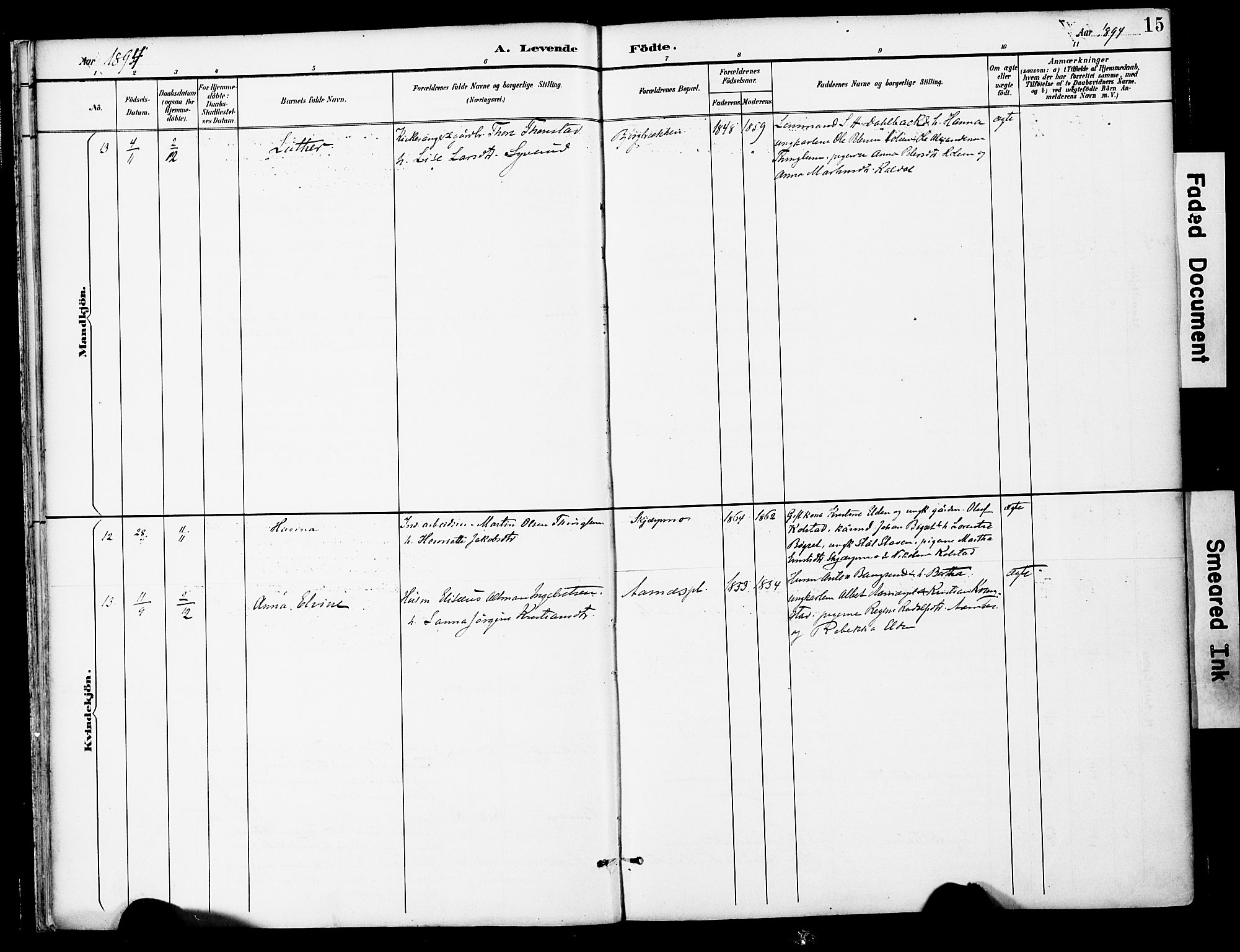 Ministerialprotokoller, klokkerbøker og fødselsregistre - Nord-Trøndelag, SAT/A-1458/742/L0409: Parish register (official) no. 742A02, 1891-1905, p. 15