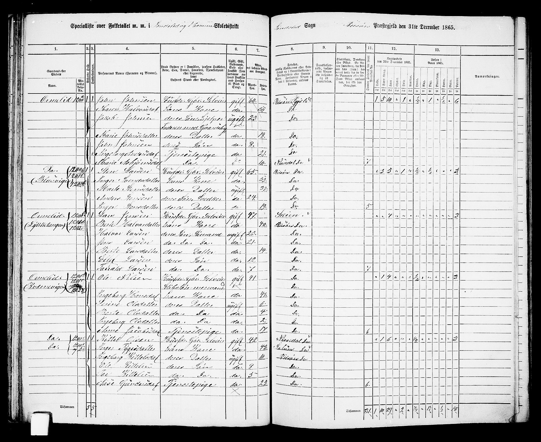 RA, 1865 census for Risør/Søndeled, 1865, p. 63