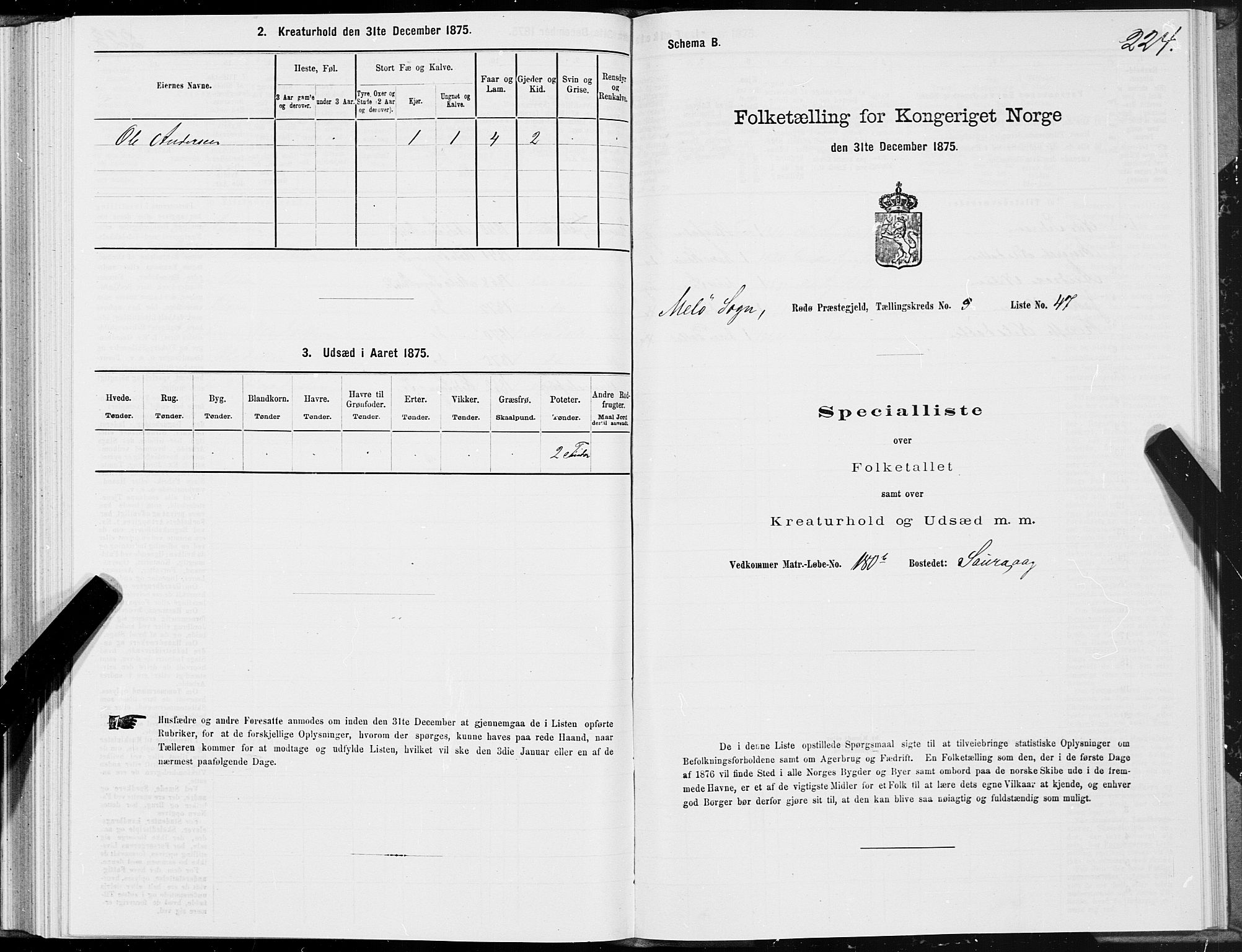 SAT, 1875 census for 1836P Rødøy, 1875, p. 4224