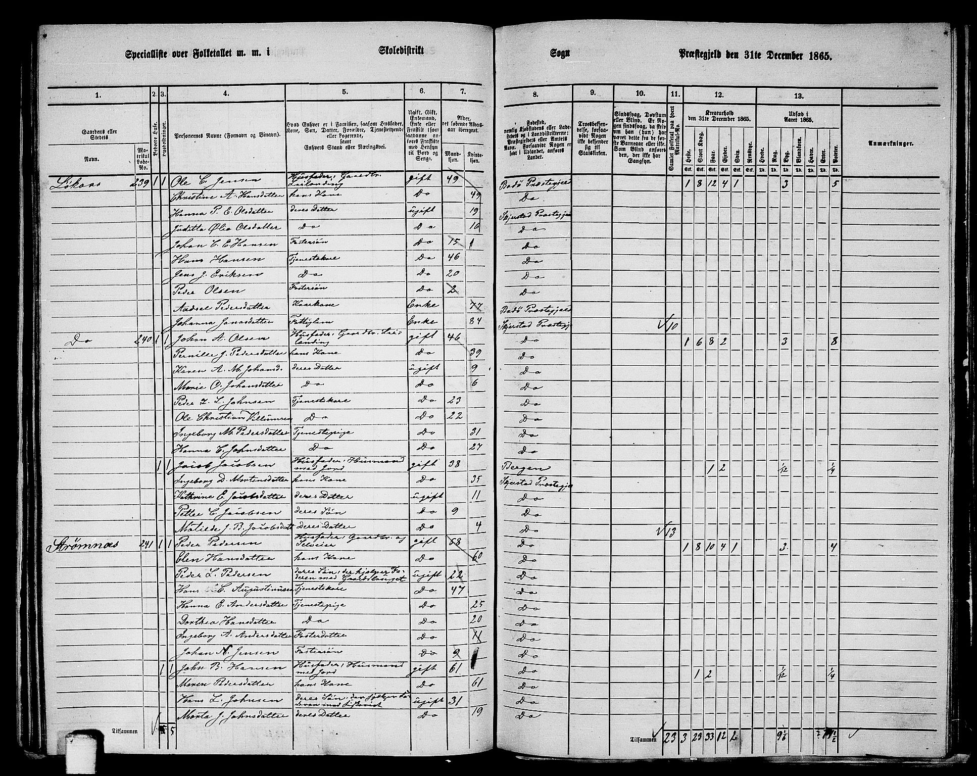 RA, 1865 census for Skjerstad, 1865, p. 118