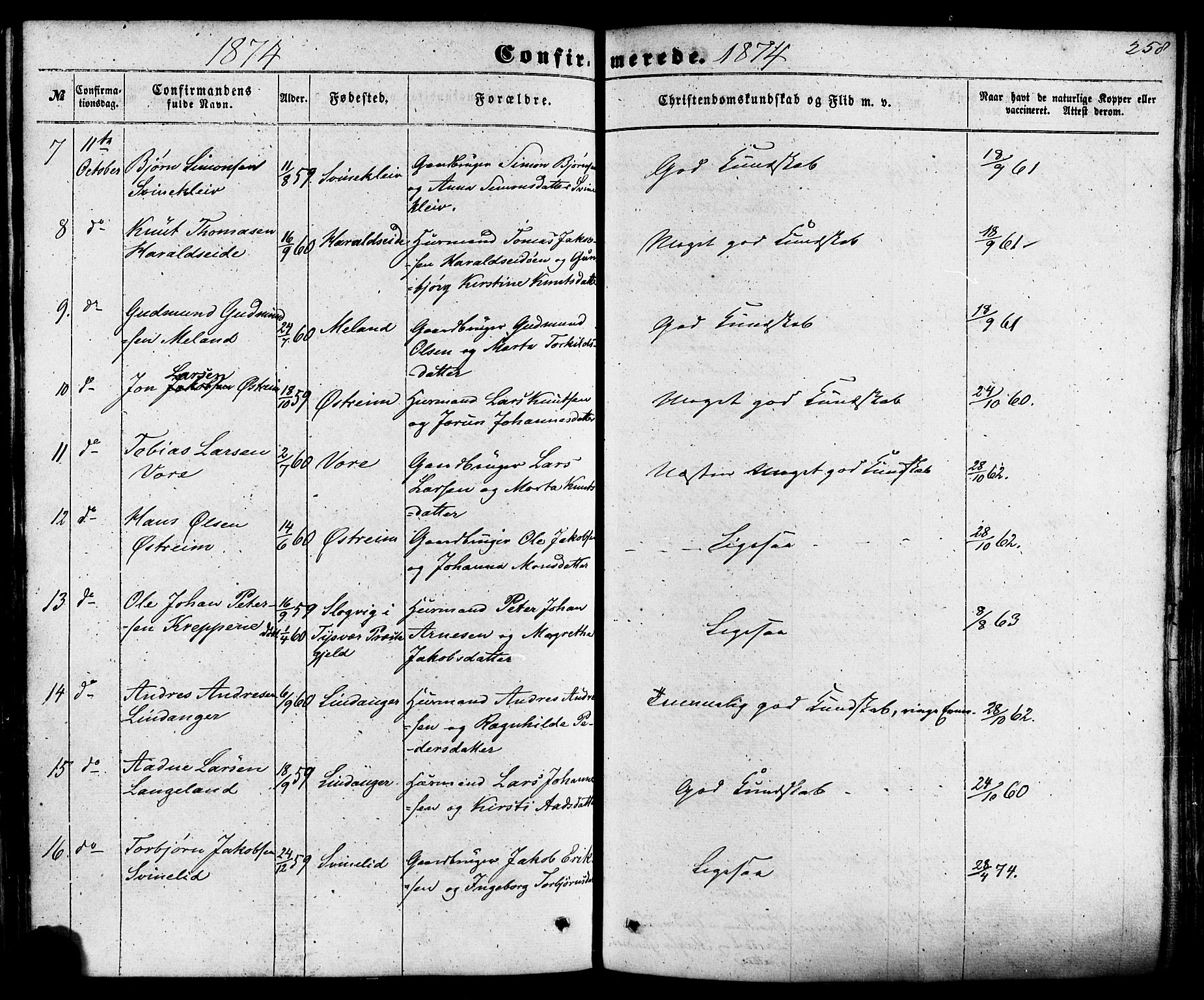 Skjold sokneprestkontor, AV/SAST-A-101847/H/Ha/Haa/L0008: Parish register (official) no. A 8, 1856-1882, p. 258