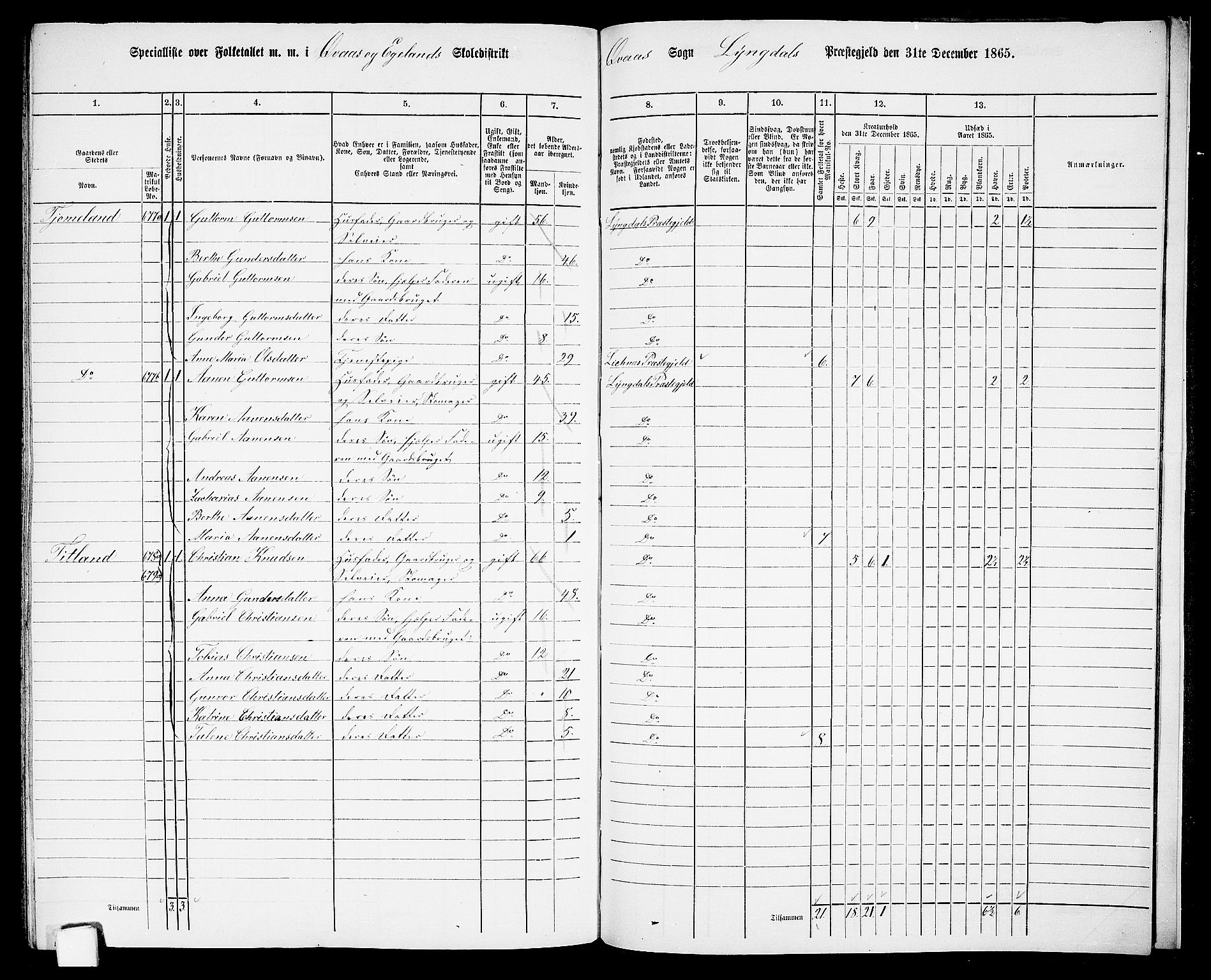 RA, 1865 census for Lyngdal, 1865, p. 242