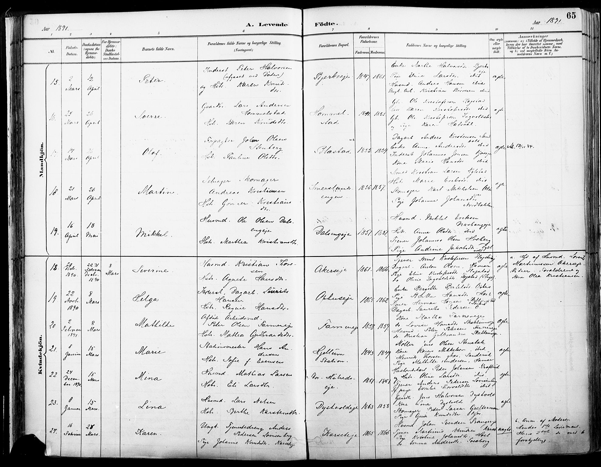 Vang prestekontor, Hedmark, AV/SAH-PREST-008/H/Ha/Haa/L0019A: Parish register (official) no. 19, 1886-1900, p. 65