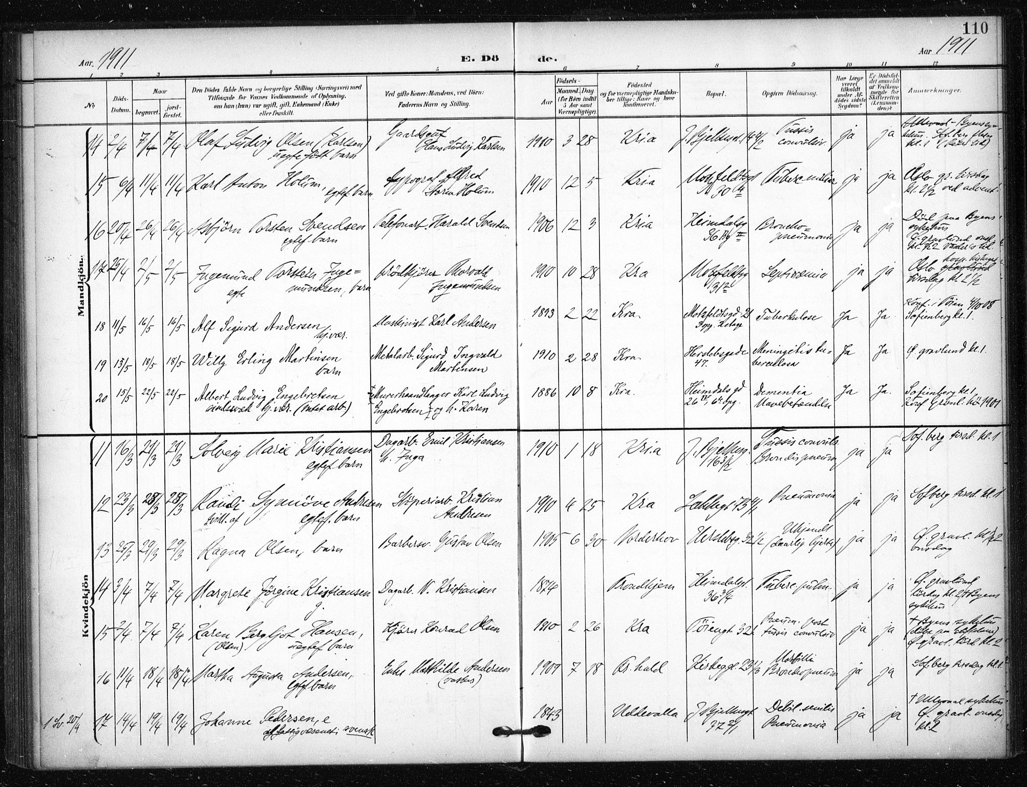 Tøyen prestekontor Kirkebøker, AV/SAO-A-10167a/F/Fa/L0002: Parish register (official) no. I 2, 1907-1916, p. 110