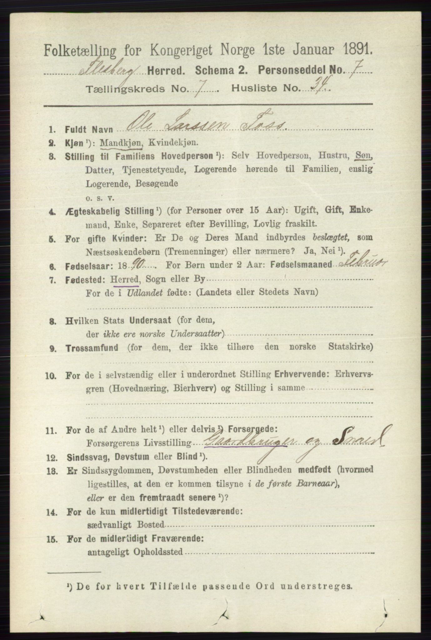 RA, 1891 census for 0631 Flesberg, 1891, p. 1323