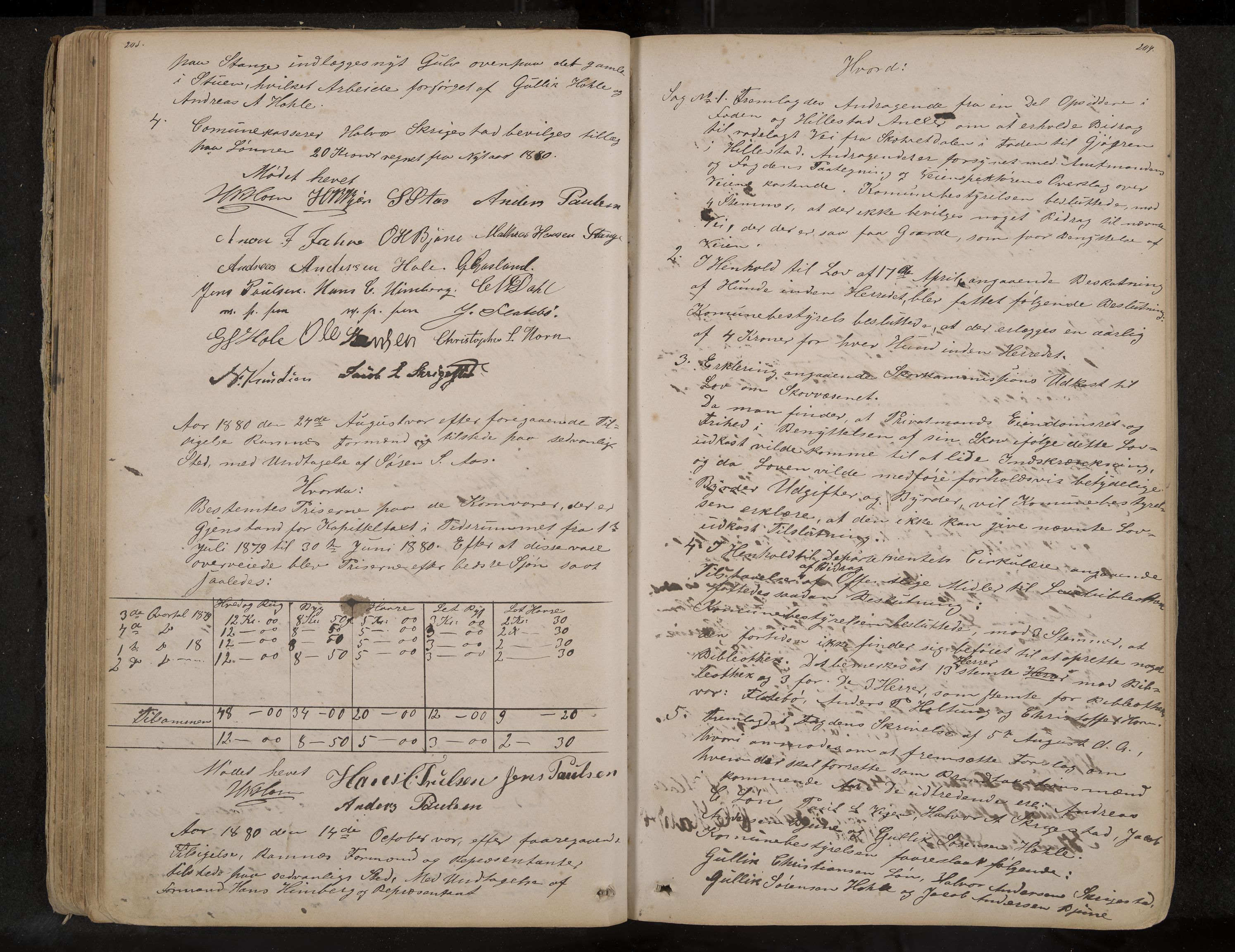 Ramnes formannskap og sentraladministrasjon, IKAK/0718021/A/Aa/L0003: Møtebok, 1870-1892, p. 203-204