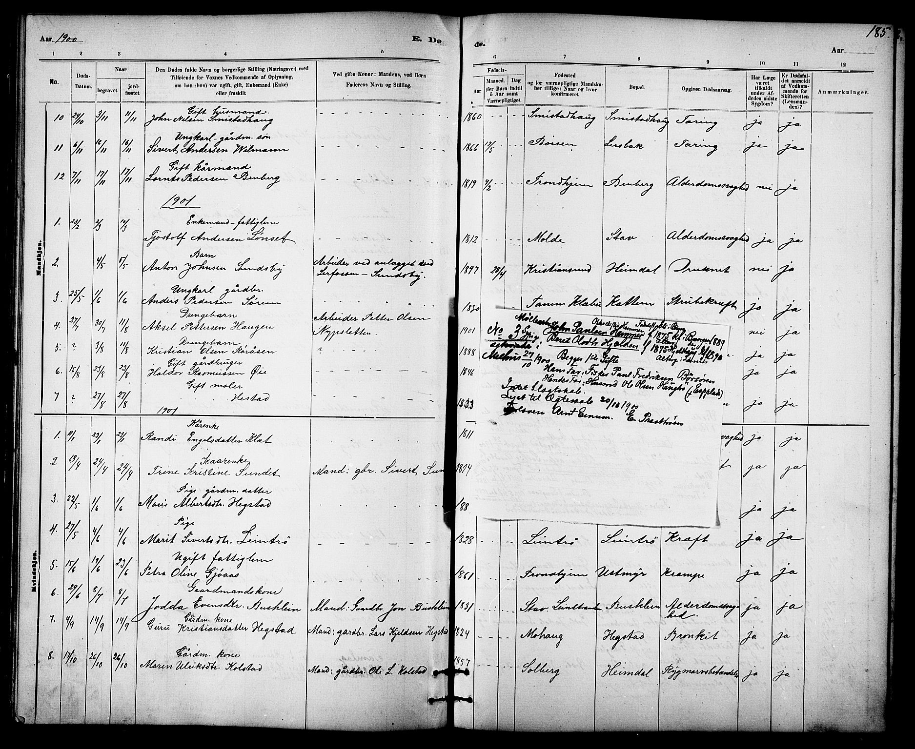 Ministerialprotokoller, klokkerbøker og fødselsregistre - Sør-Trøndelag, SAT/A-1456/613/L0395: Parish register (copy) no. 613C03, 1887-1909, p. 185