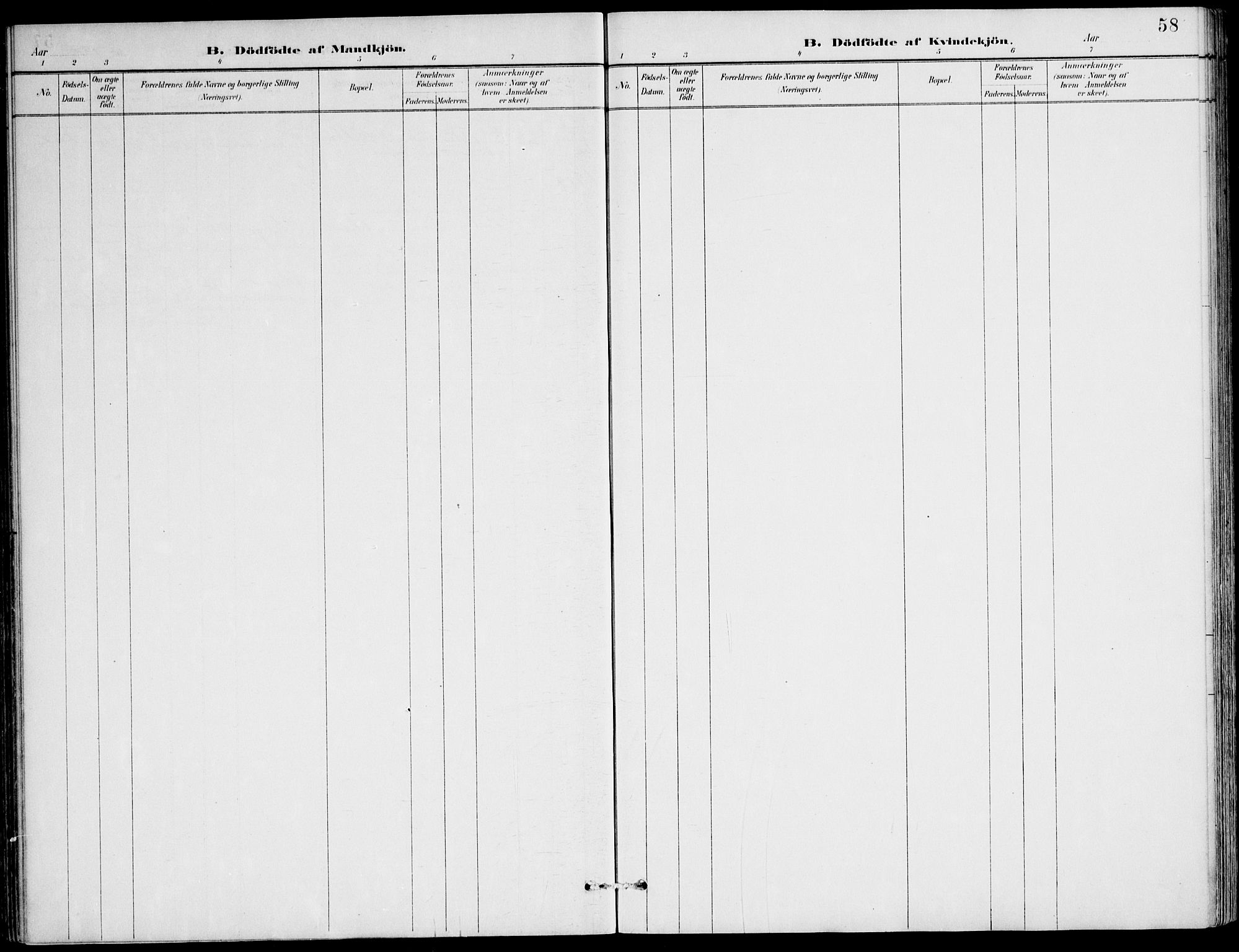 Ministerialprotokoller, klokkerbøker og fødselsregistre - Møre og Romsdal, AV/SAT-A-1454/508/L0095: Parish register (official) no. 508A02, 1887-1920, p. 58