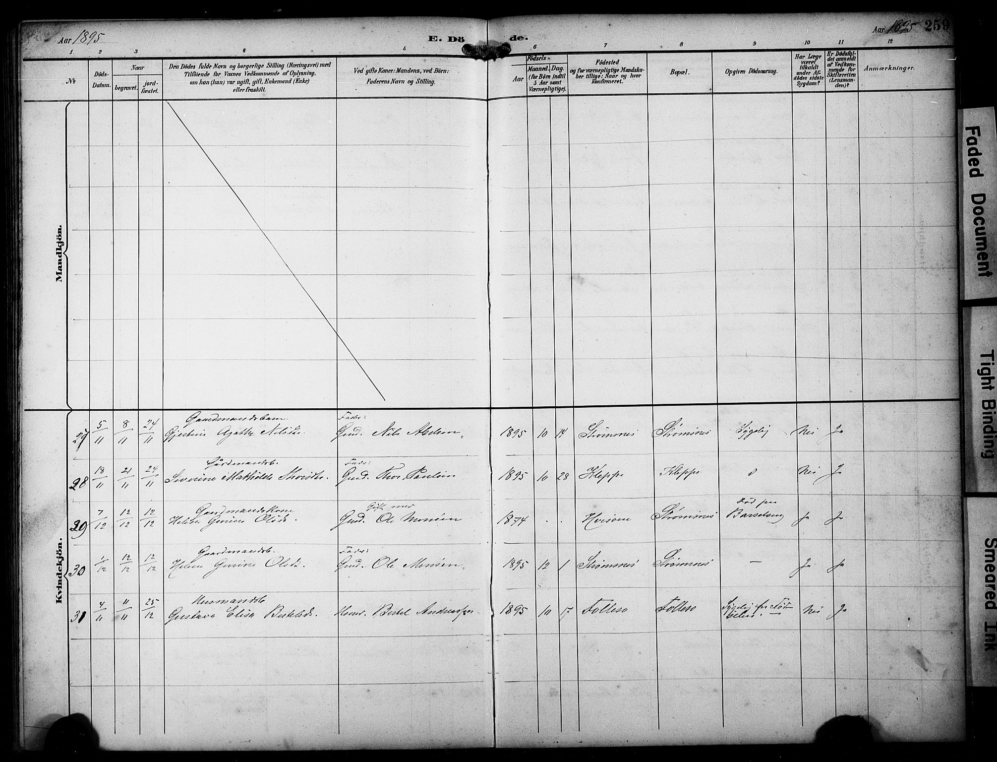 Askøy Sokneprestembete, AV/SAB-A-74101/H/Ha/Hab/Haba/L0009: Parish register (copy) no. A 9, 1894-1903, p. 259