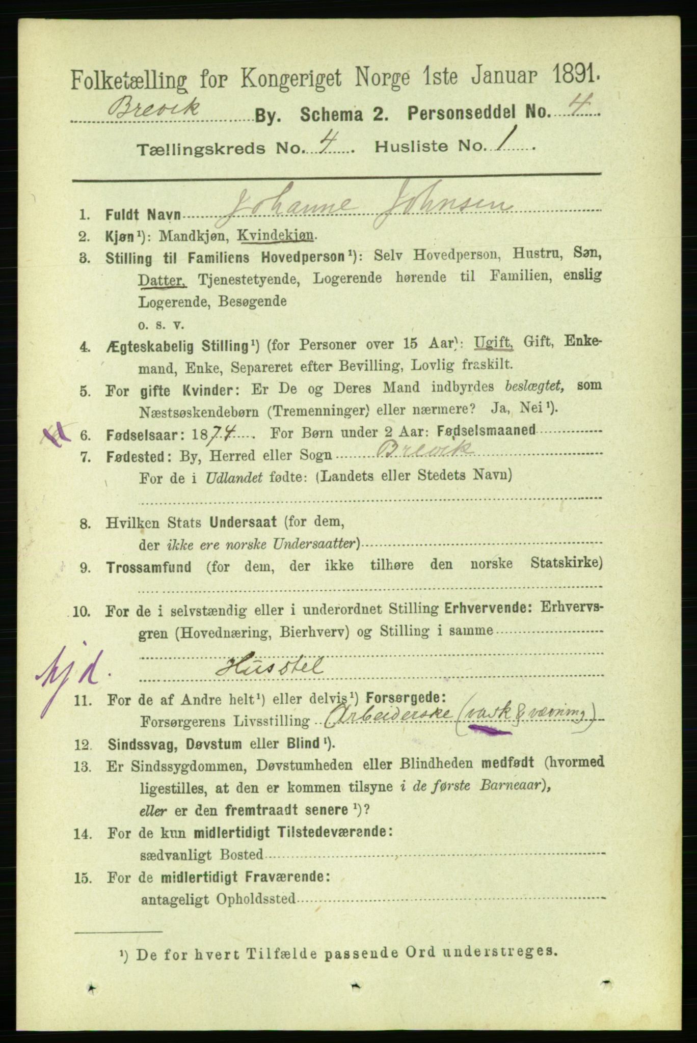 RA, 1891 census for 0804 Brevik, 1891, p. 2702