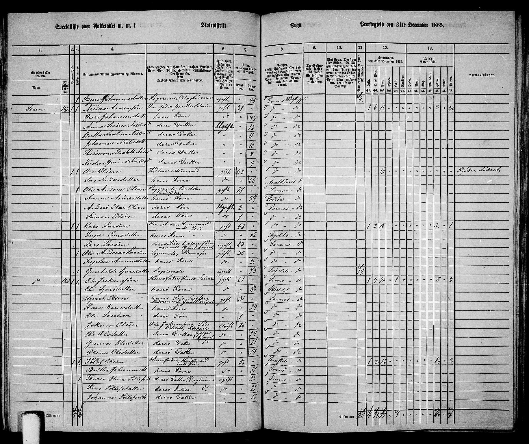 RA, 1865 census for Sveio, 1865, p. 91