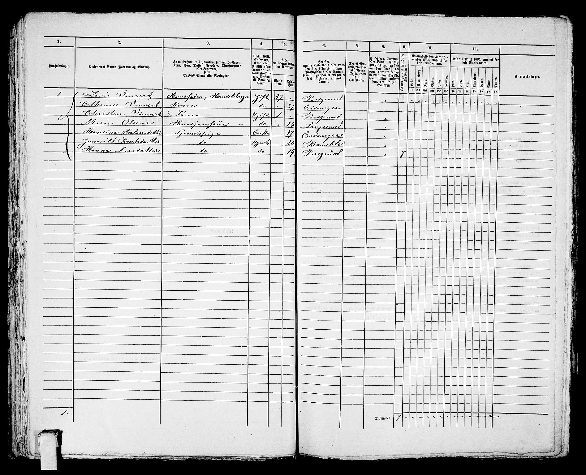RA, 1865 census for Porsgrunn, 1865, p. 501