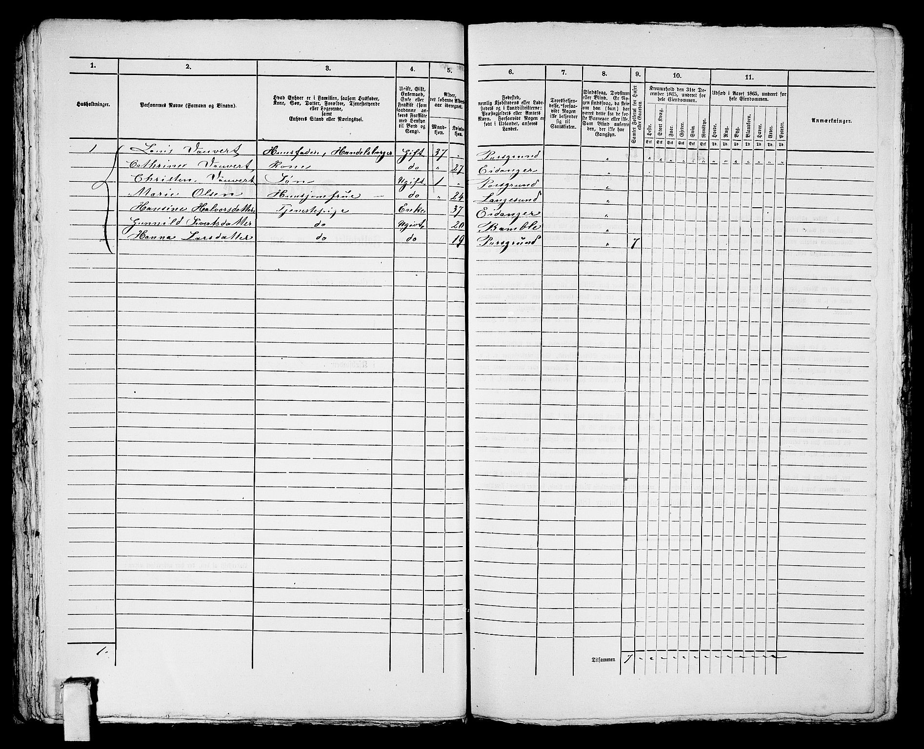 RA, 1865 census for Porsgrunn, 1865, p. 501