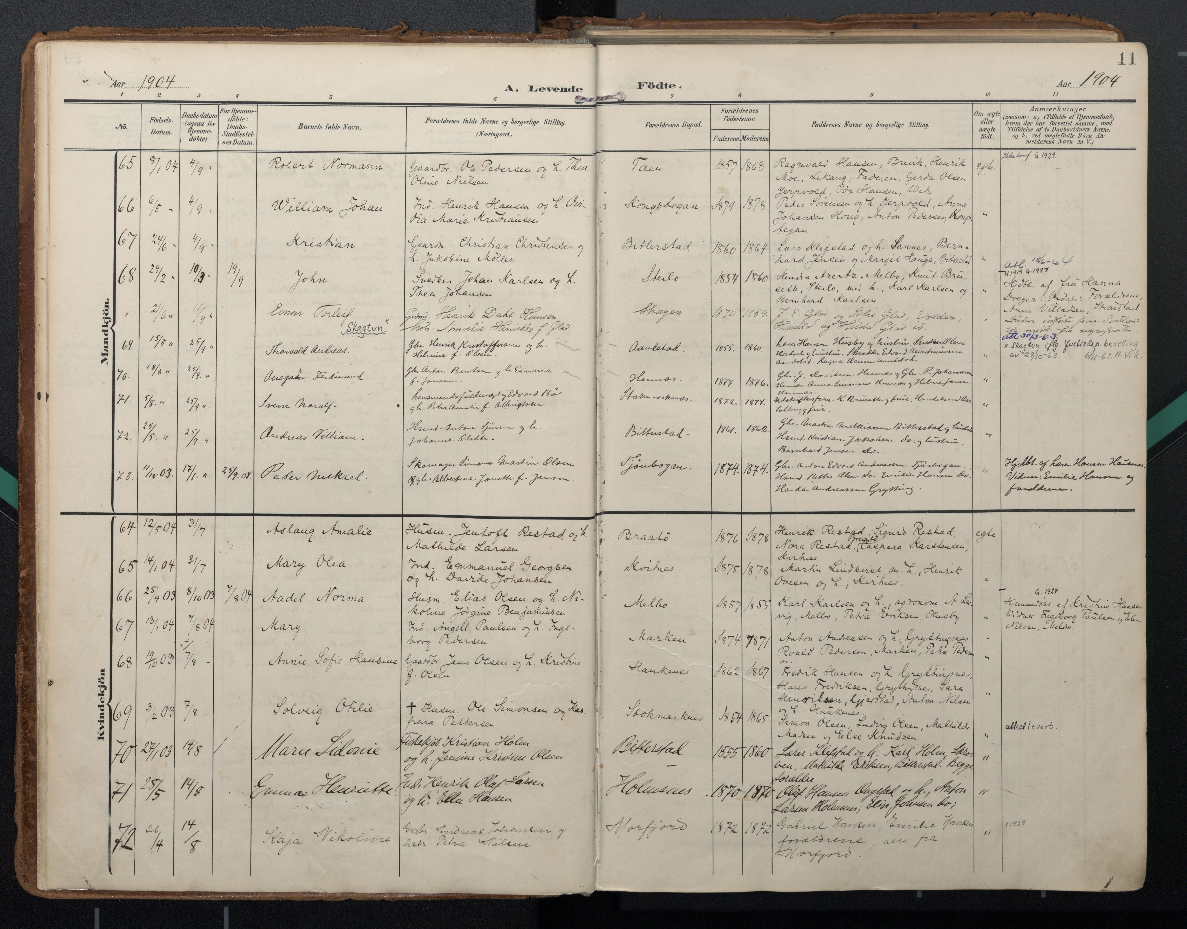 Ministerialprotokoller, klokkerbøker og fødselsregistre - Nordland, SAT/A-1459/888/L1248: Parish register (official) no. 888A14, 1904-1913, p. 11