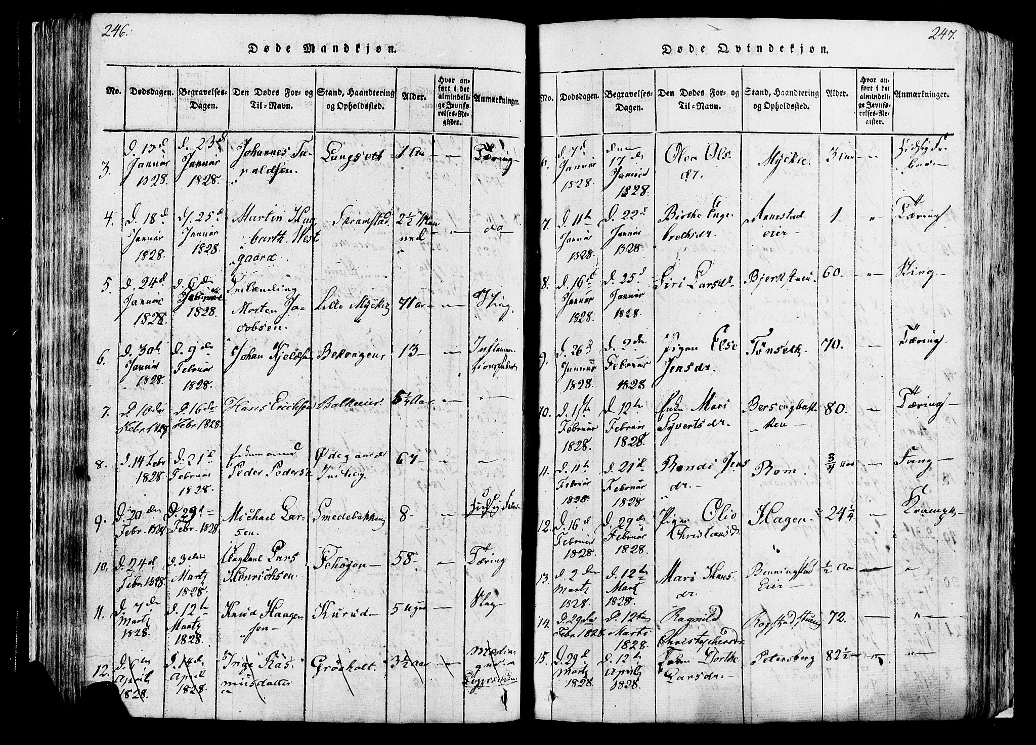 Løten prestekontor, SAH/PREST-022/K/Ka/L0005: Parish register (official) no. 5, 1814-1832, p. 246-247