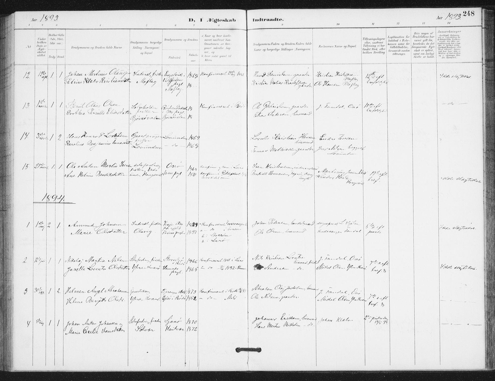 Ministerialprotokoller, klokkerbøker og fødselsregistre - Nordland, AV/SAT-A-1459/839/L0573: Parish register (copy) no. 839C03, 1892-1917, p. 248