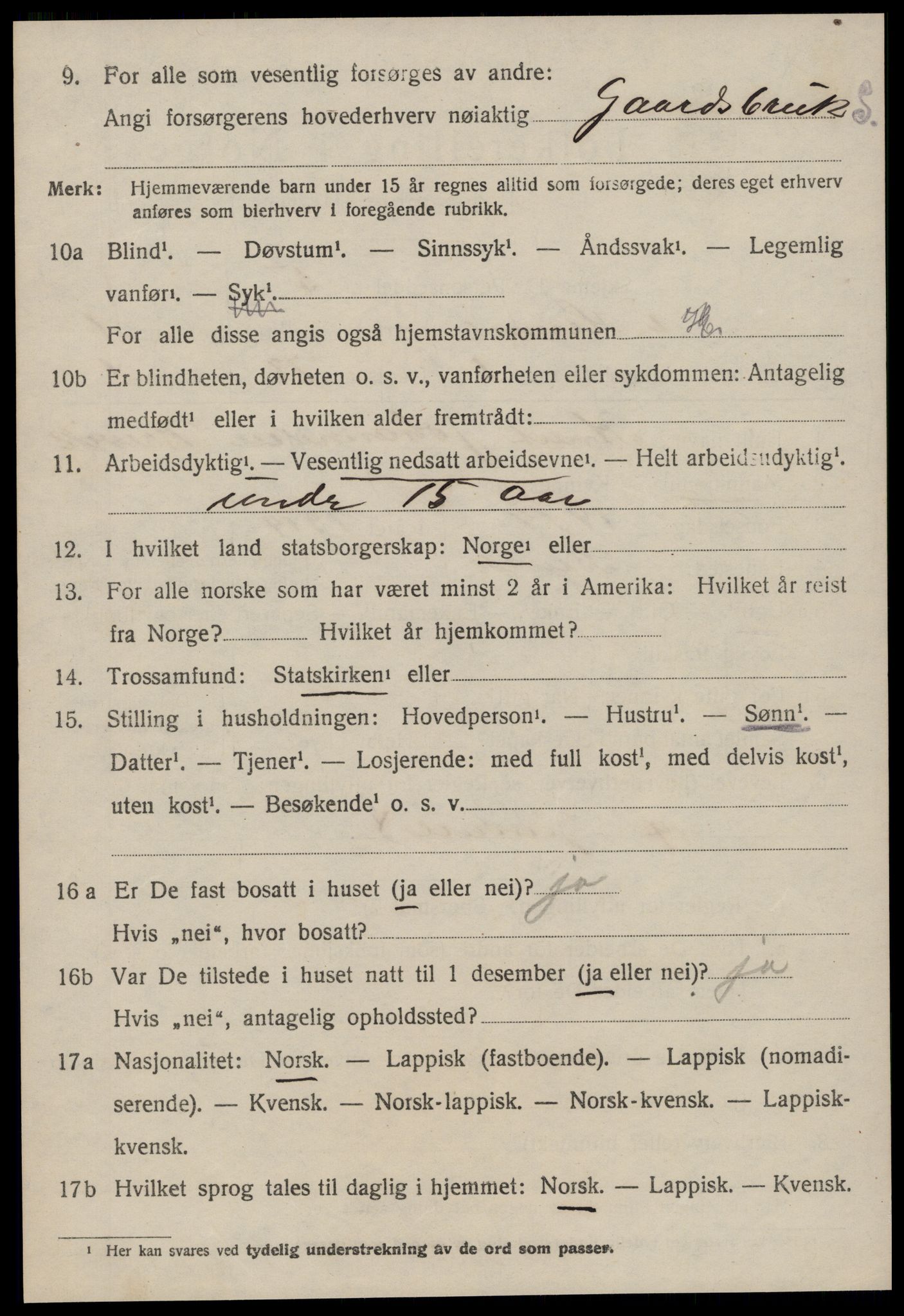 SAT, 1920 census for Hemne, 1920, p. 1245