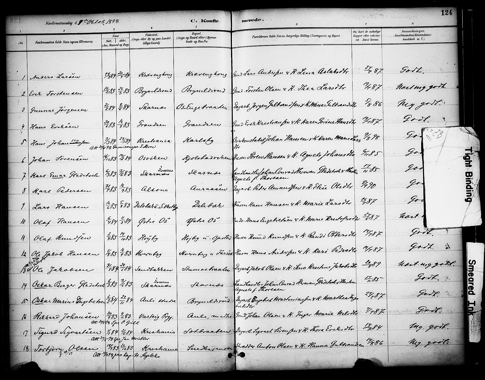 Sør-Odal prestekontor, AV/SAH-PREST-030/H/Ha/Haa/L0009: Parish register (official) no. 9, 1886-1926, p. 124