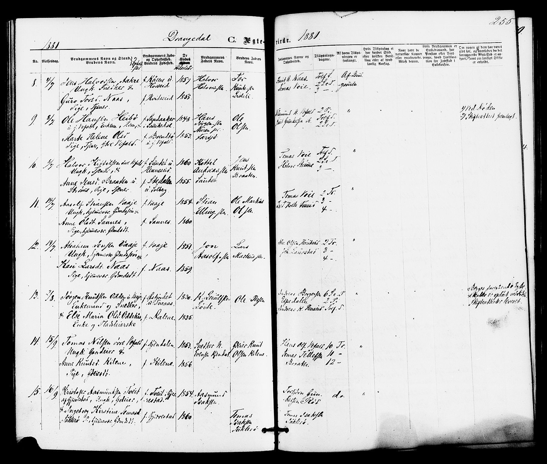 Drangedal kirkebøker, AV/SAKO-A-258/F/Fa/L0009: Parish register (official) no. 9 /1, 1872-1884, p. 255