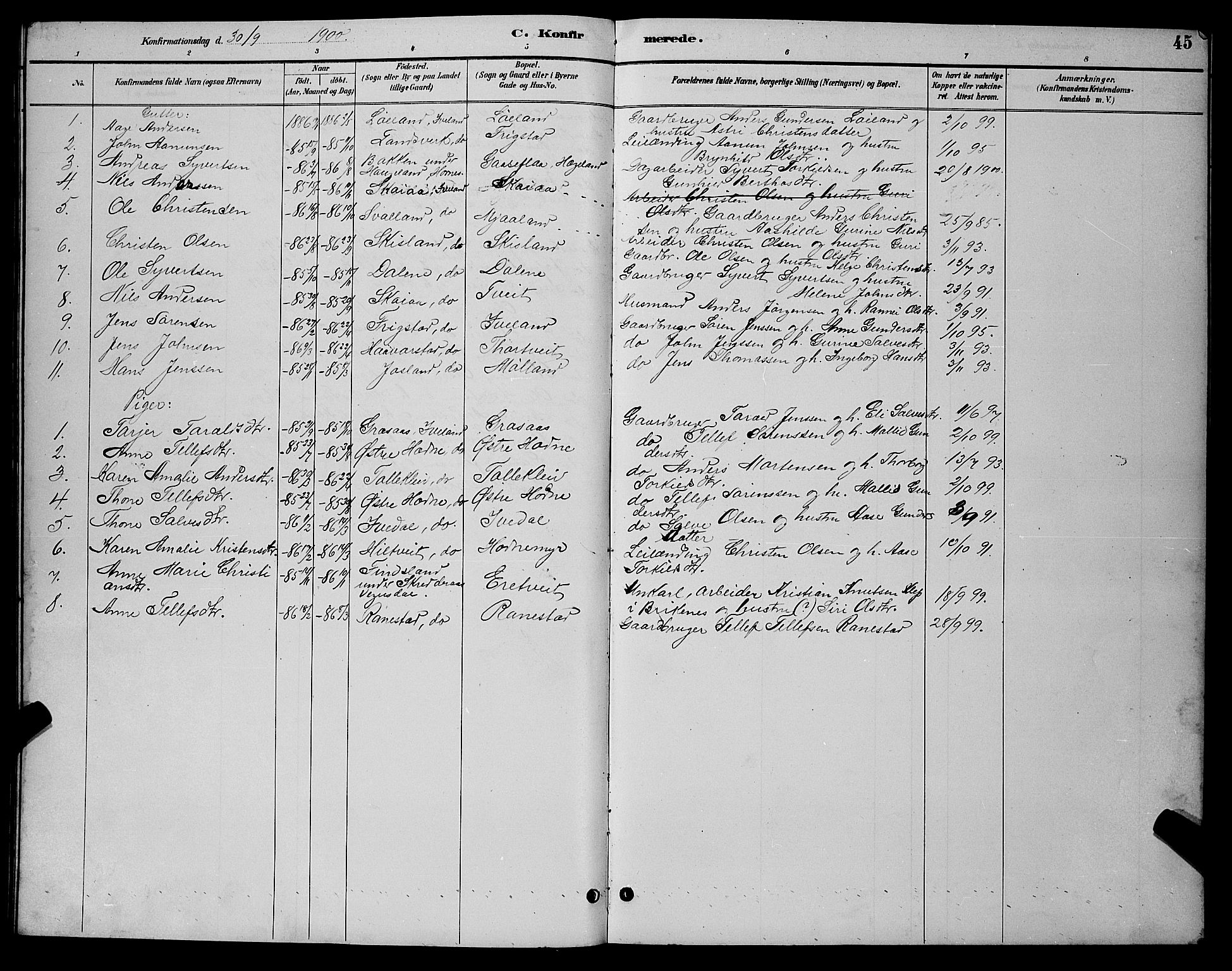 Evje sokneprestkontor, AV/SAK-1111-0008/F/Fb/Fbc/L0004: Parish register (copy) no. B 4, 1890-1900, p. 45