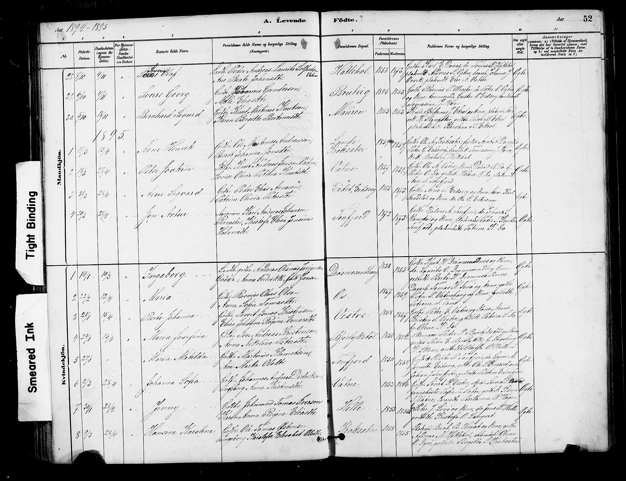 Ministerialprotokoller, klokkerbøker og fødselsregistre - Møre og Romsdal, AV/SAT-A-1454/525/L0376: Parish register (copy) no. 525C02, 1880-1902, p. 52