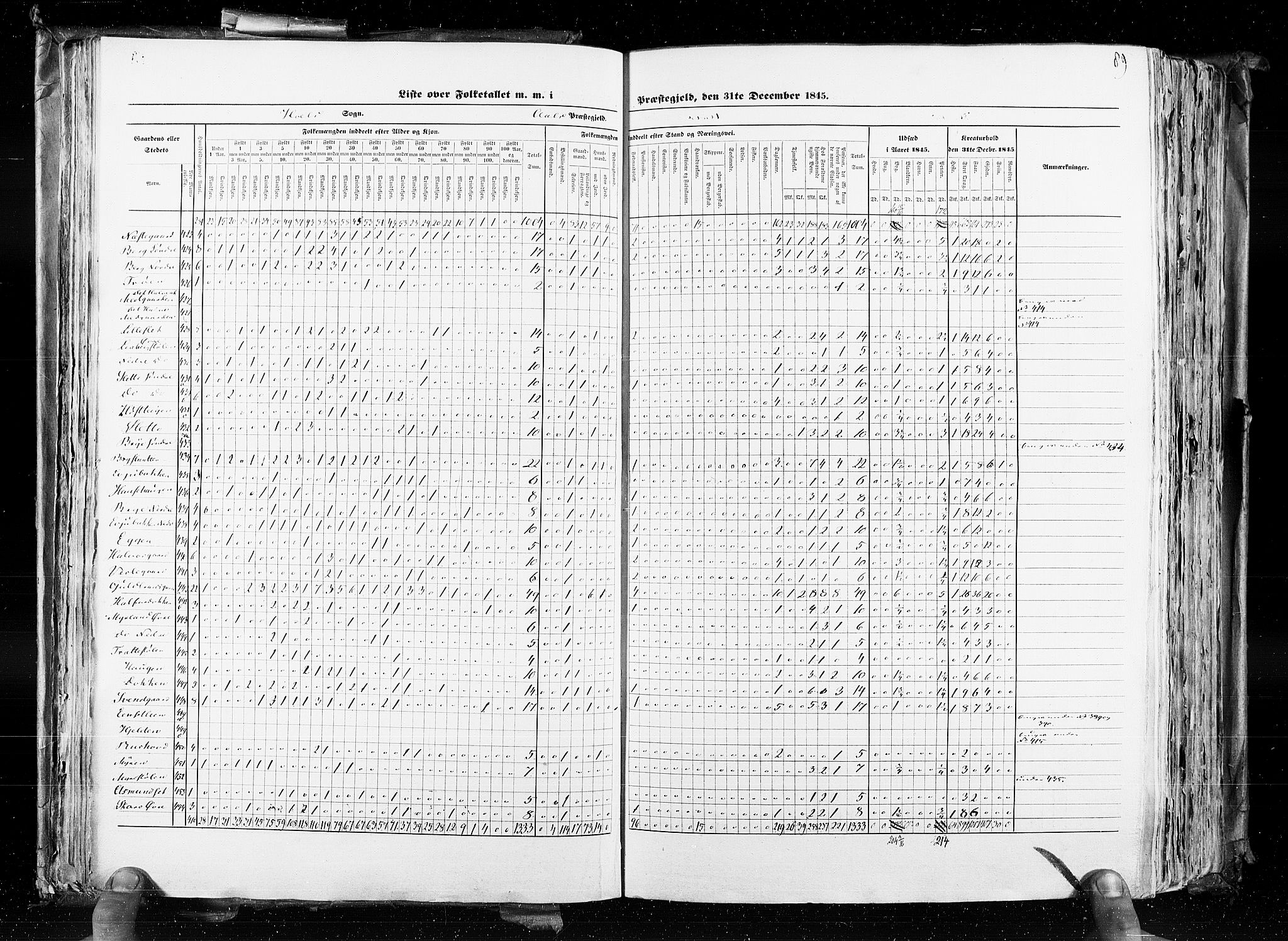 RA, Census 1845, vol. 4: Buskerud amt og Jarlsberg og Larvik amt, 1845, p. 89