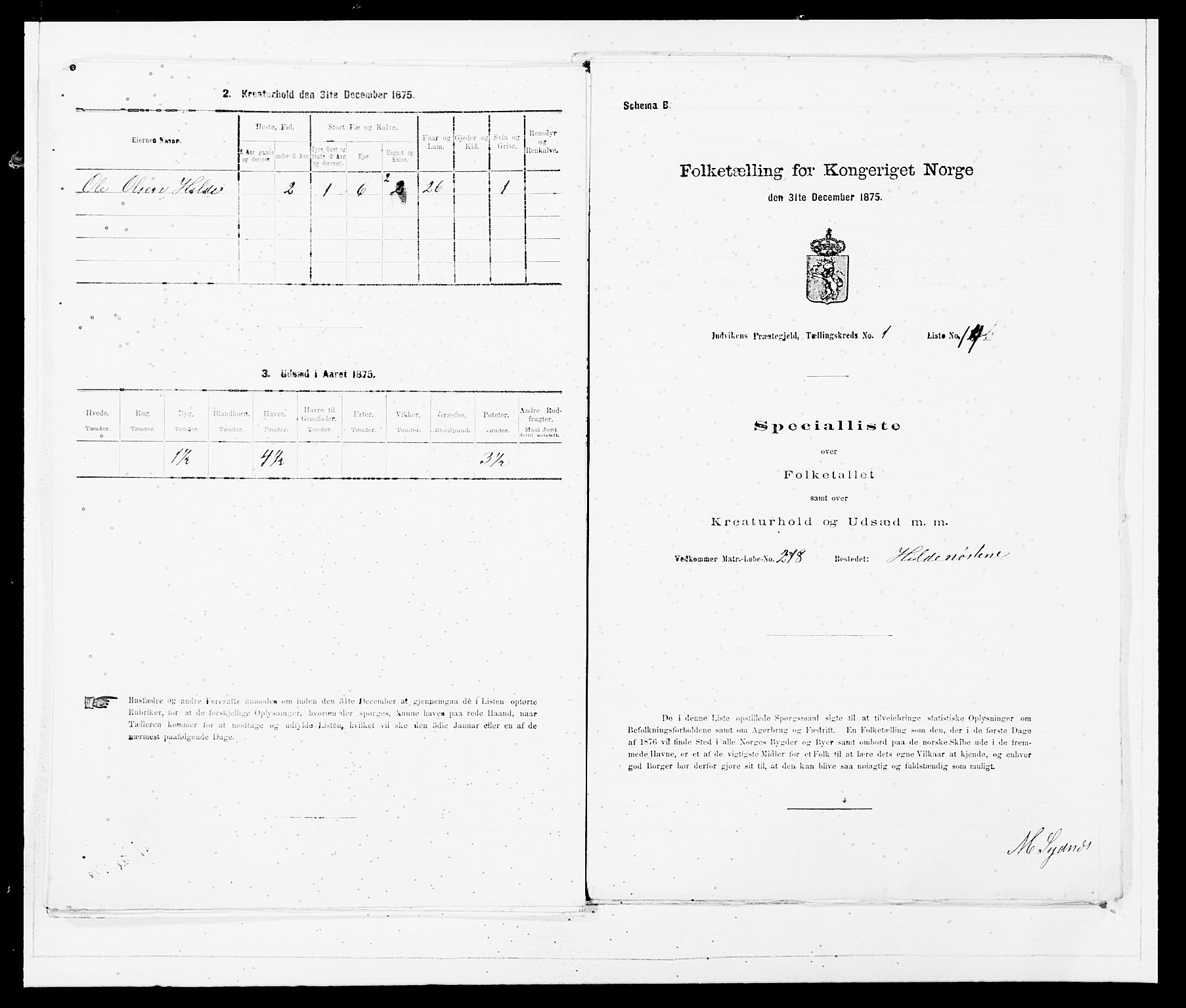 SAB, 1875 Census for 1447P Innvik, 1875, p. 49