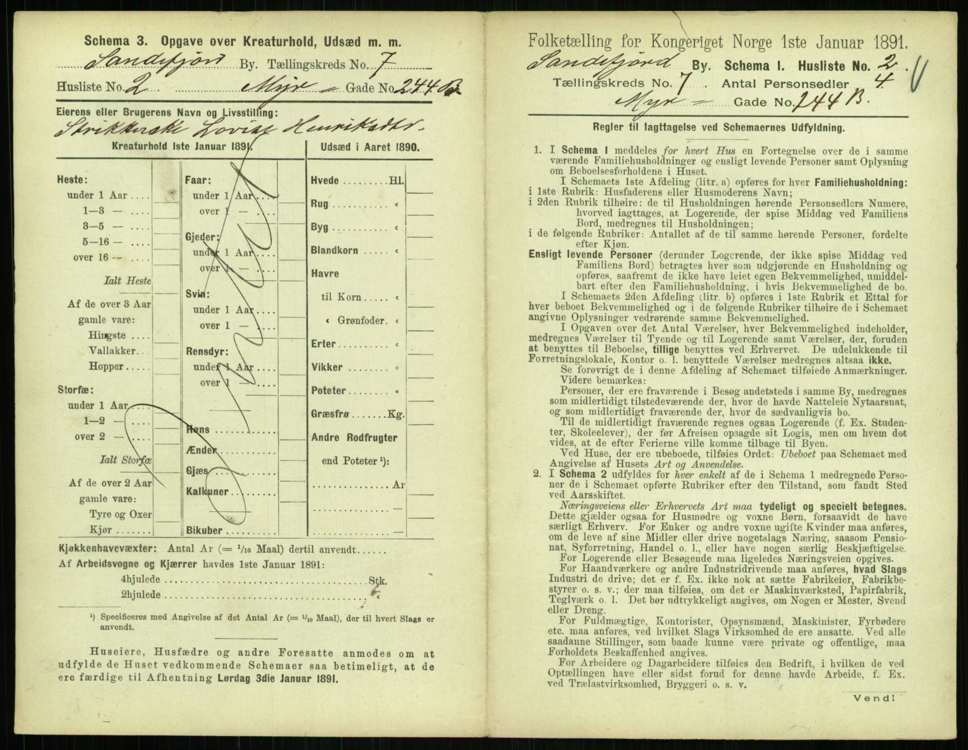 RA, 1891 census for 0706 Sandefjord, 1891, p. 743