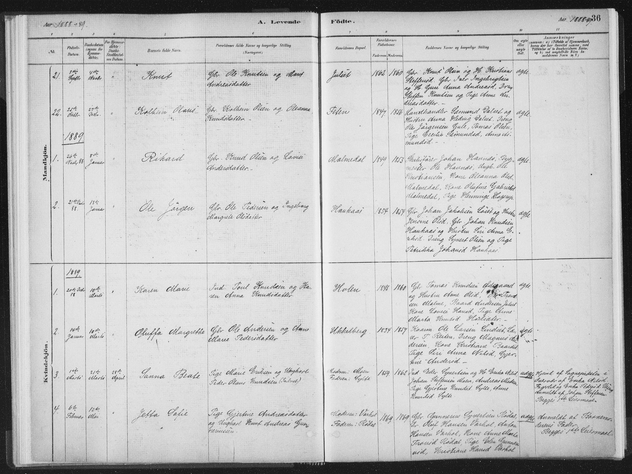 Ministerialprotokoller, klokkerbøker og fødselsregistre - Møre og Romsdal, SAT/A-1454/564/L0740: Parish register (official) no. 564A01, 1880-1899, p. 36