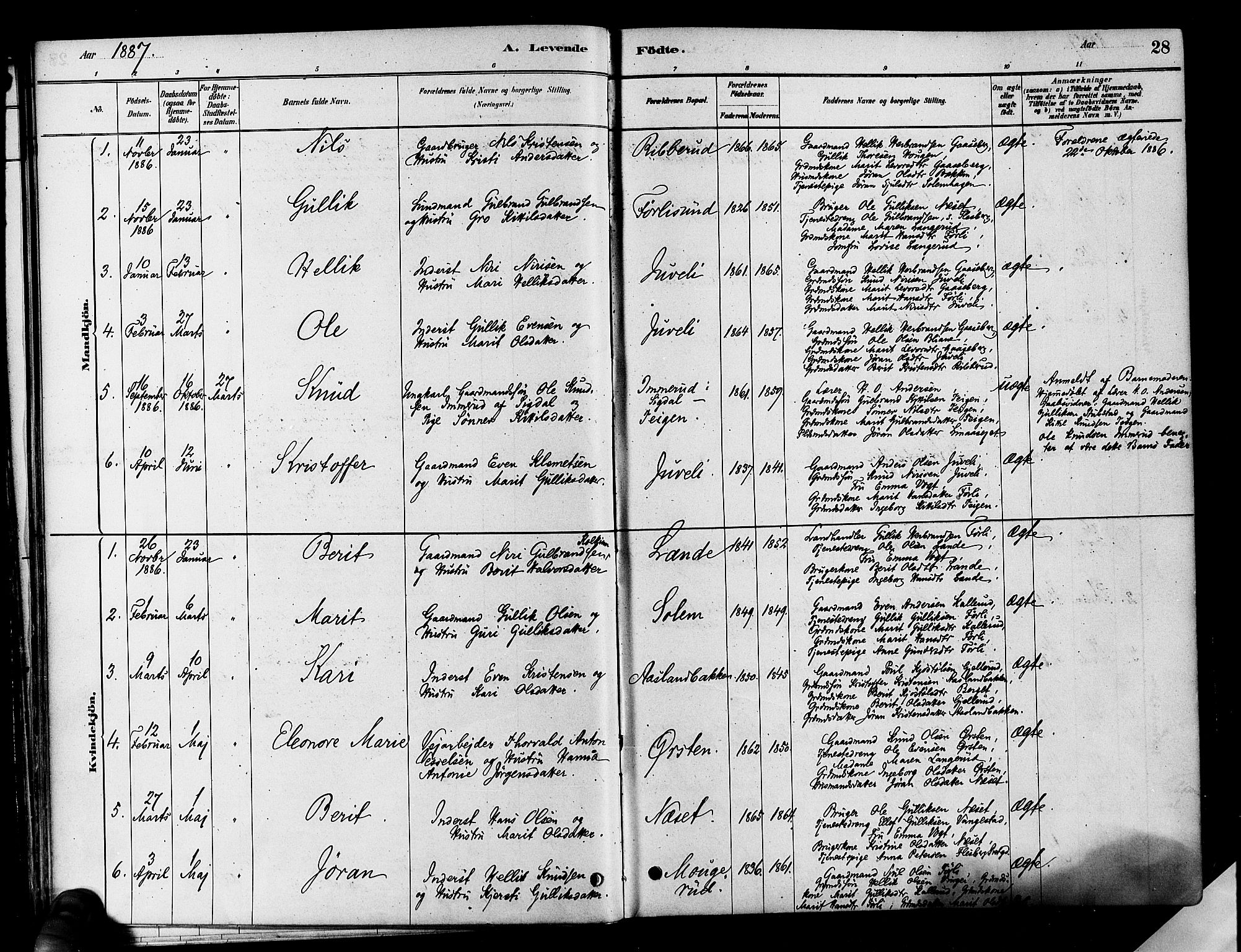 Flesberg kirkebøker, SAKO/A-18/F/Fa/L0008: Parish register (official) no. I 8, 1879-1899, p. 28