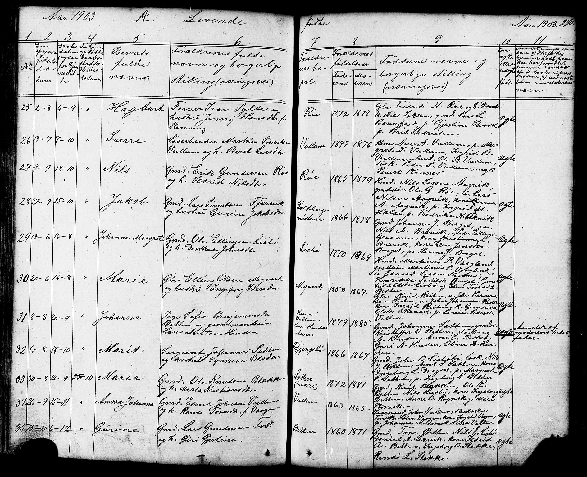 Ministerialprotokoller, klokkerbøker og fødselsregistre - Møre og Romsdal, AV/SAT-A-1454/576/L0890: Parish register (copy) no. 576C01, 1837-1908, p. 270