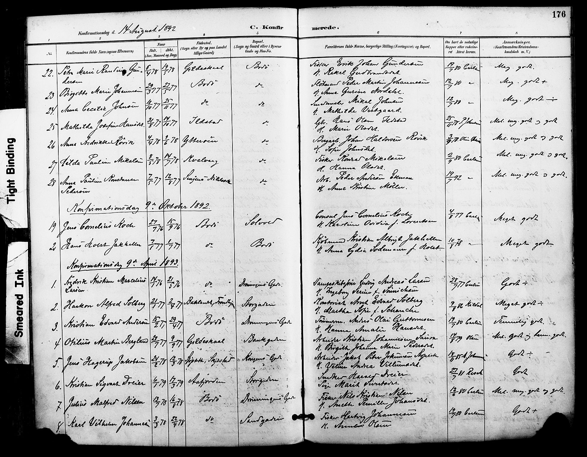 Ministerialprotokoller, klokkerbøker og fødselsregistre - Nordland, AV/SAT-A-1459/801/L0010: Parish register (official) no. 801A10, 1888-1899, p. 176