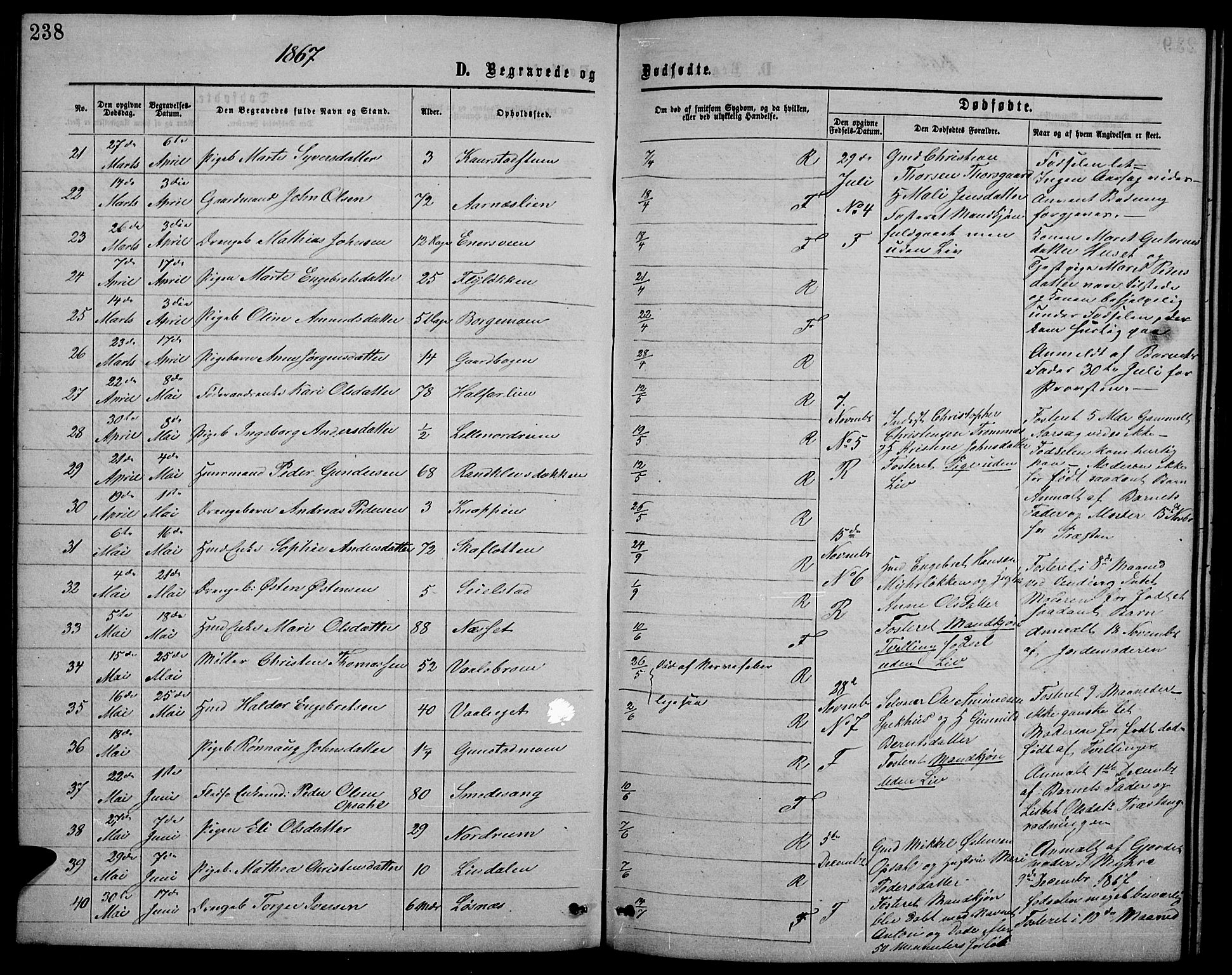 Ringebu prestekontor, SAH/PREST-082/H/Ha/Hab/L0004: Parish register (copy) no. 4, 1867-1879, p. 238