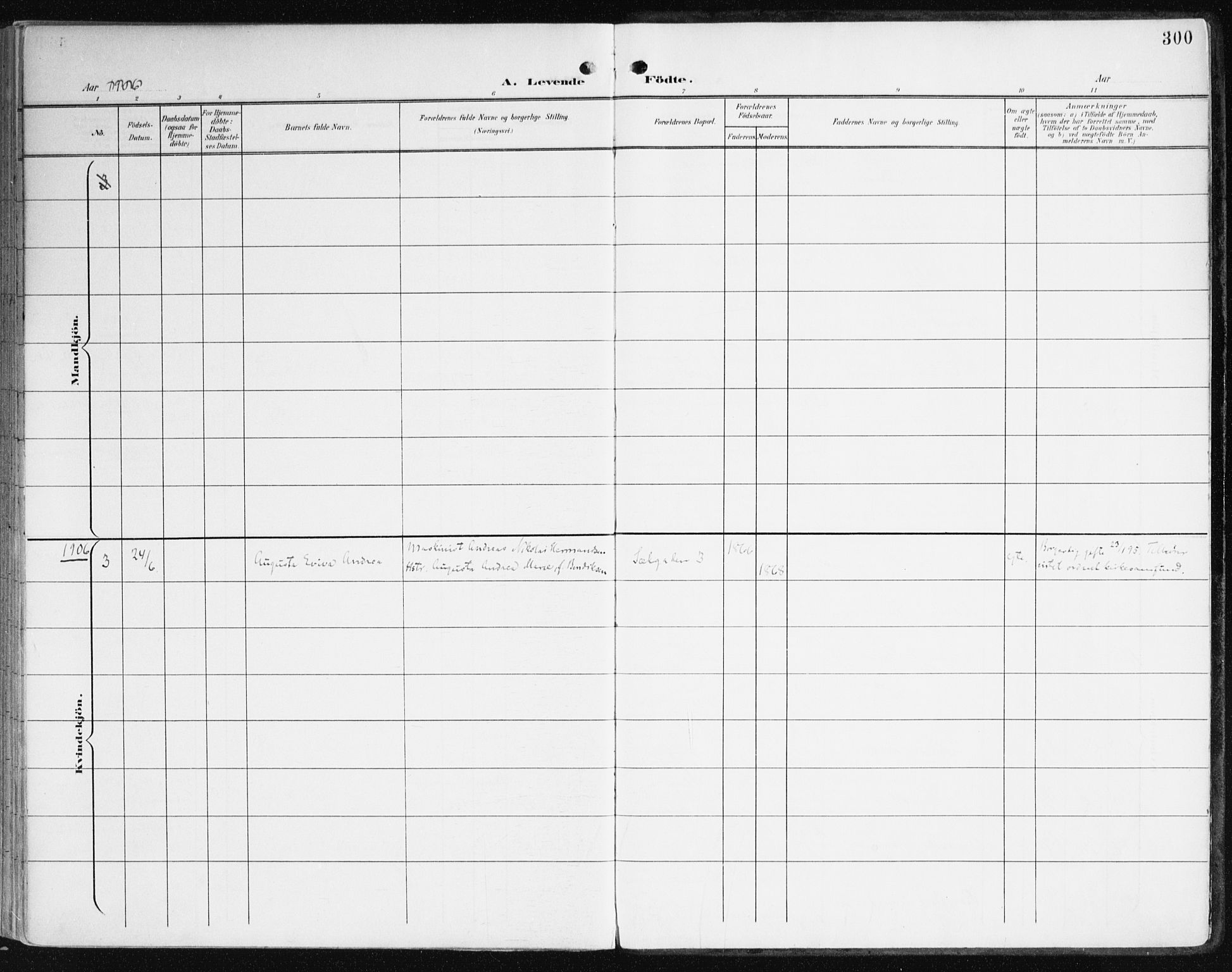 Johanneskirken sokneprestembete, AV/SAB-A-76001/H/Haa/L0002: Parish register (official) no. A 2, 1900-1912, p. 300