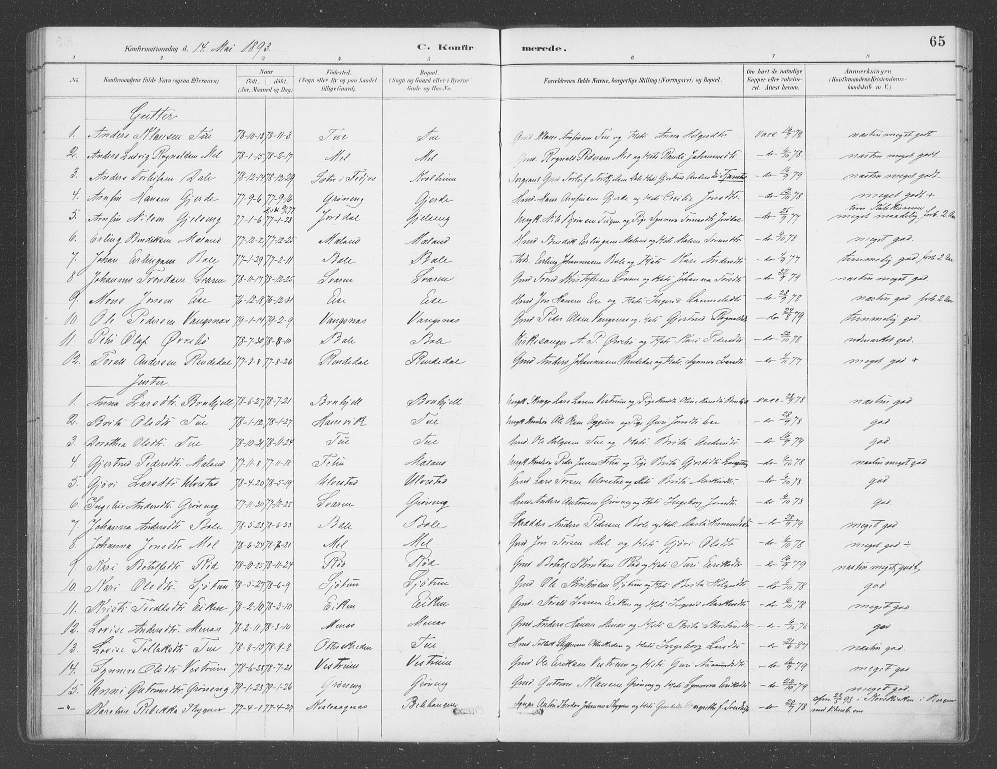 Balestrand sokneprestembete, SAB/A-79601/H/Haa/Haab/L0001: Parish register (official) no. B  1, 1889-1910, p. 65