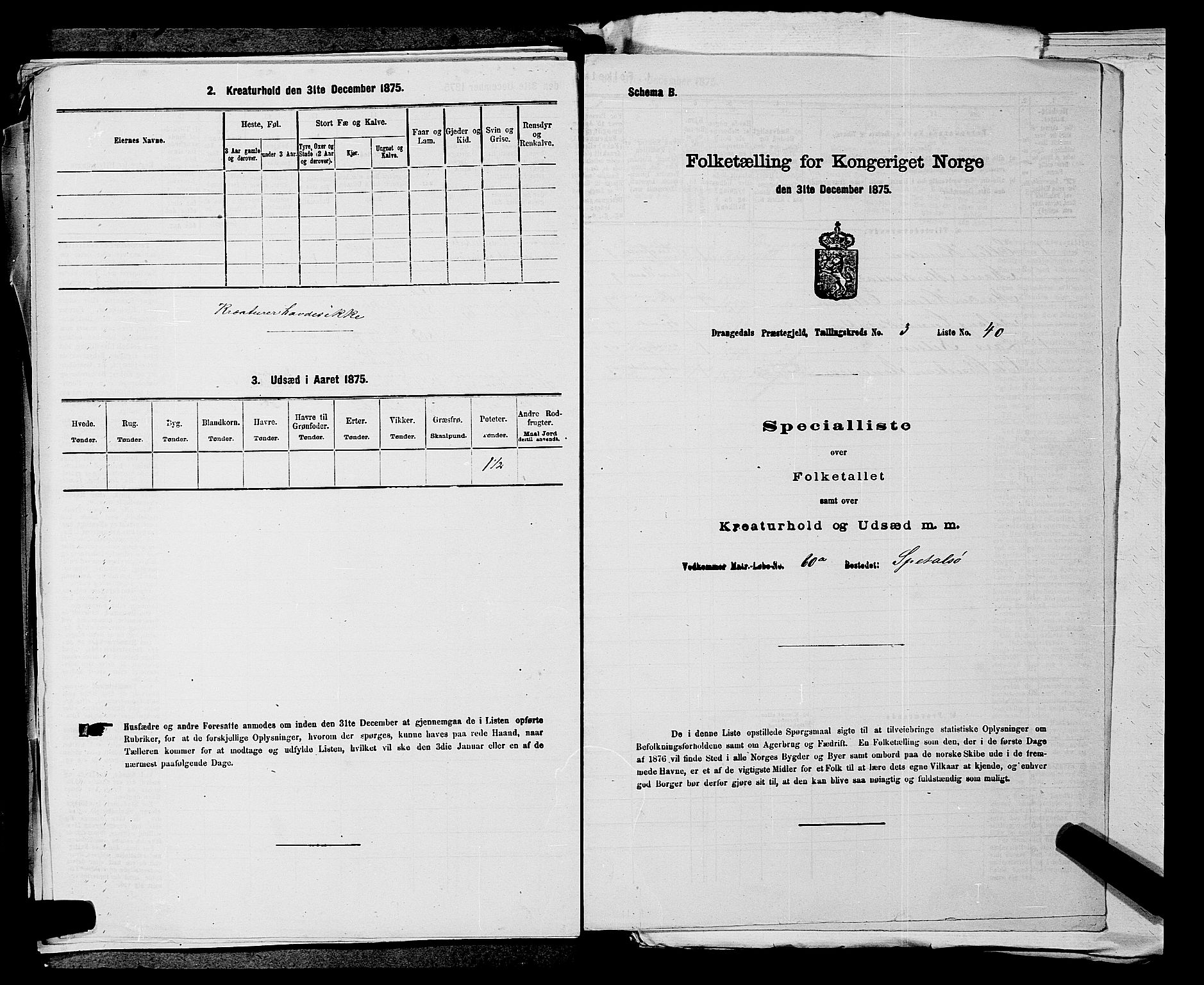 SAKO, 1875 census for 0817P Drangedal, 1875, p. 410